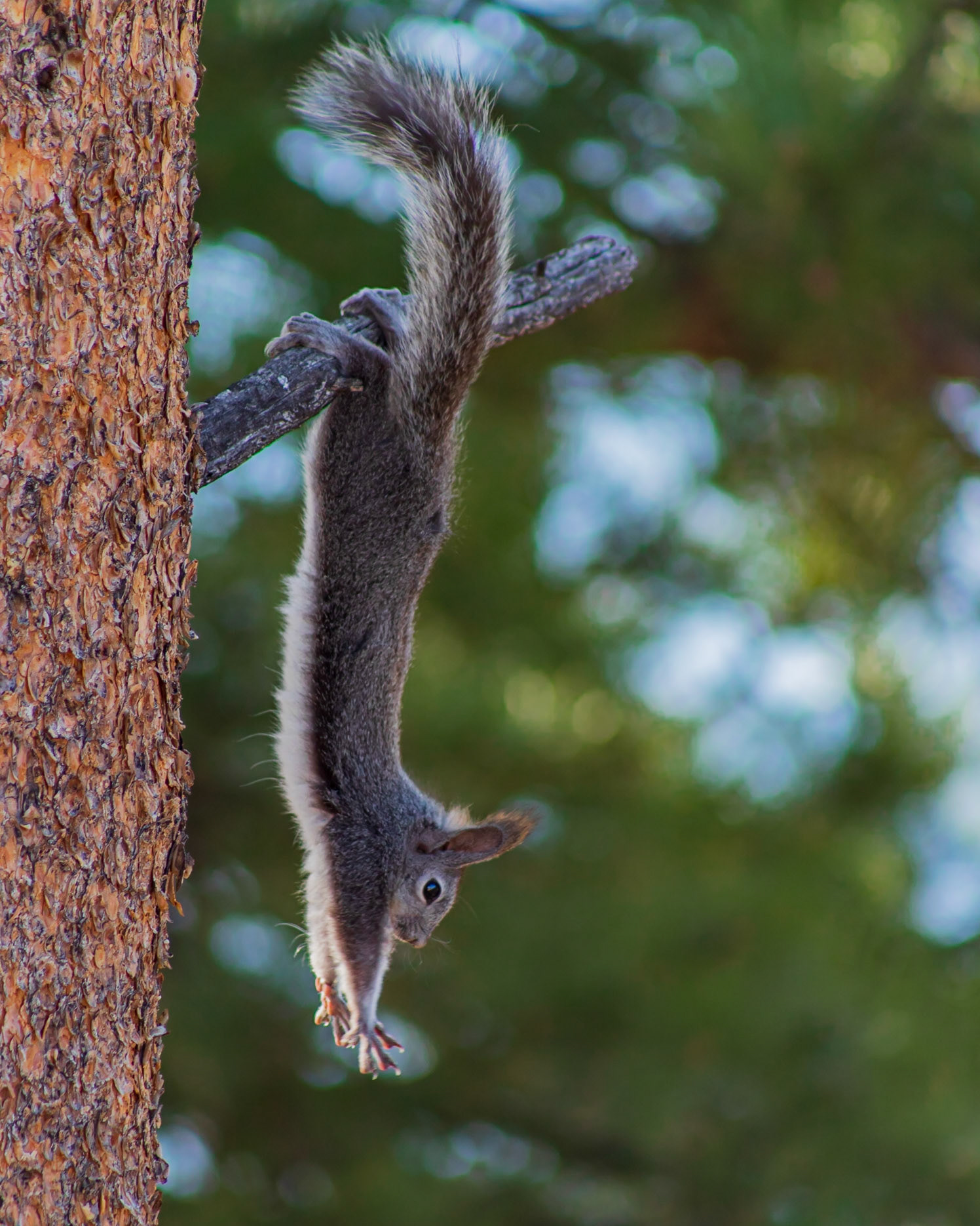 Morning stretch