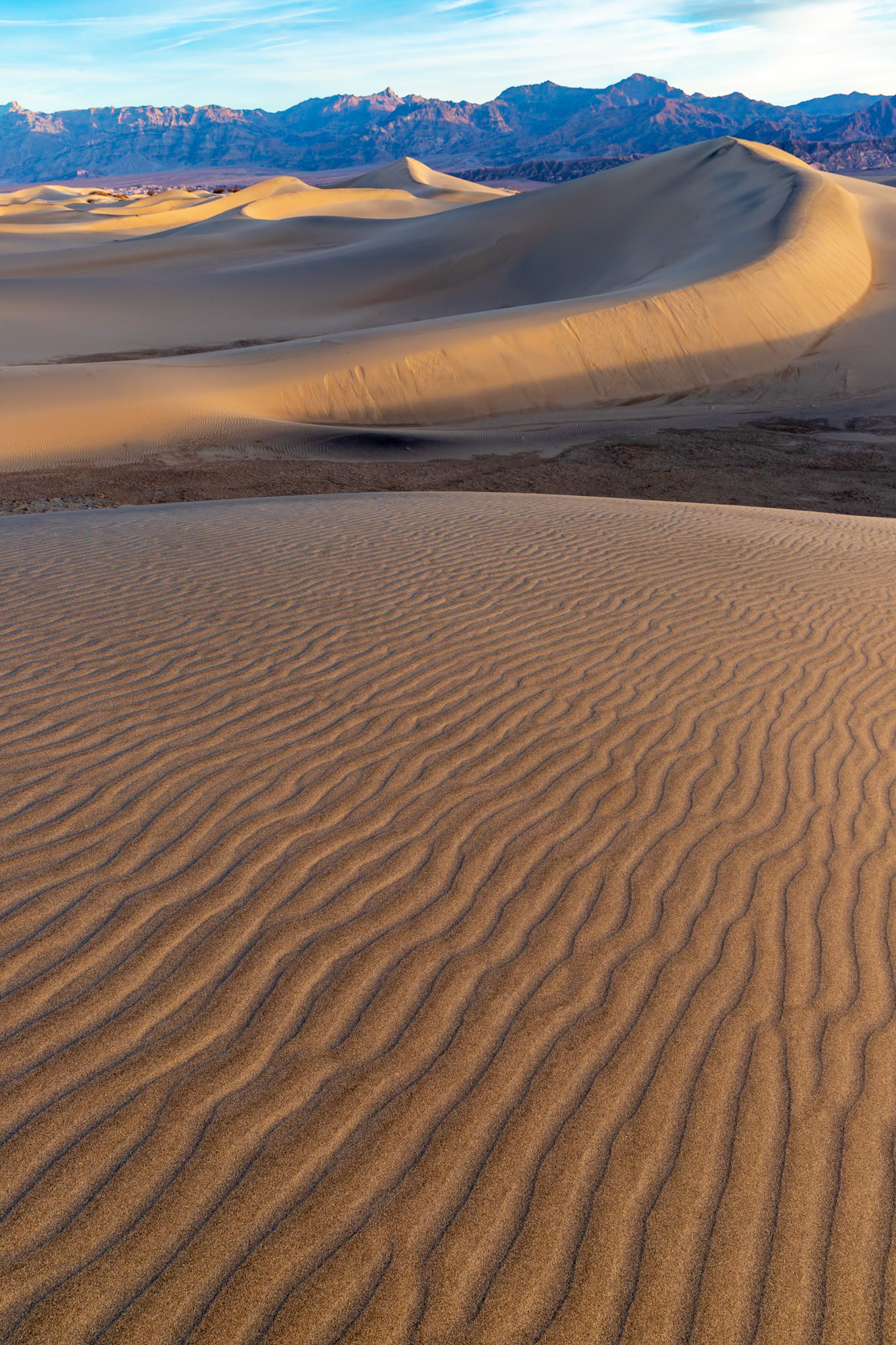Mesquite Dunes 2