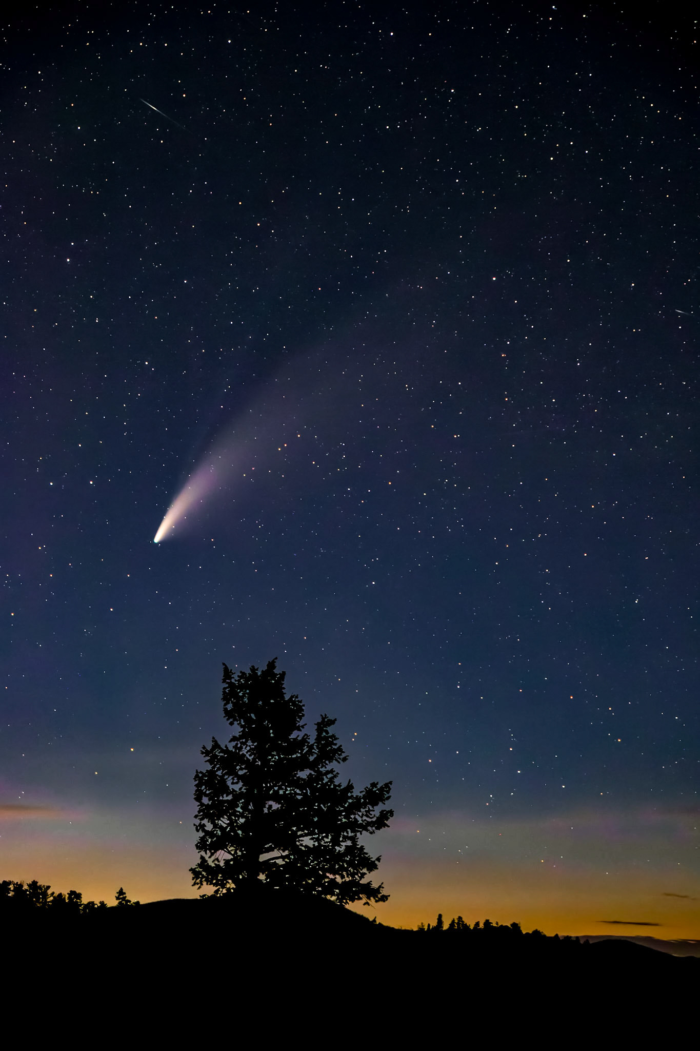 Comet Neowise