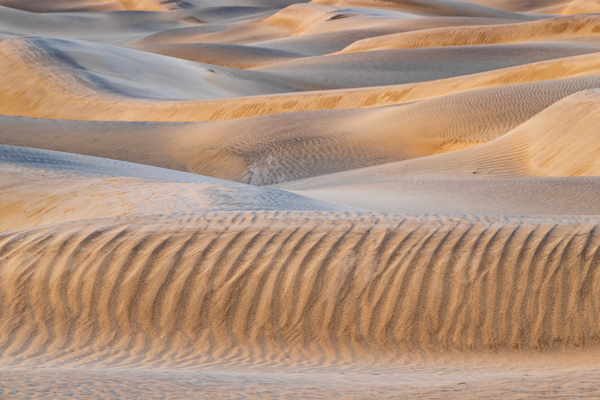 Mesquite Dunes 1