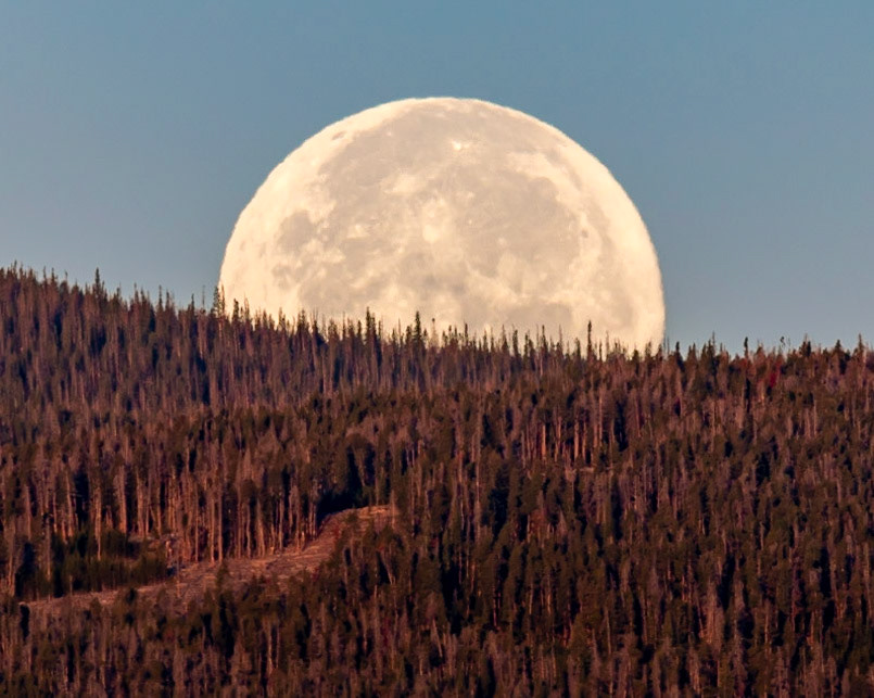 Blue Super Moonset
