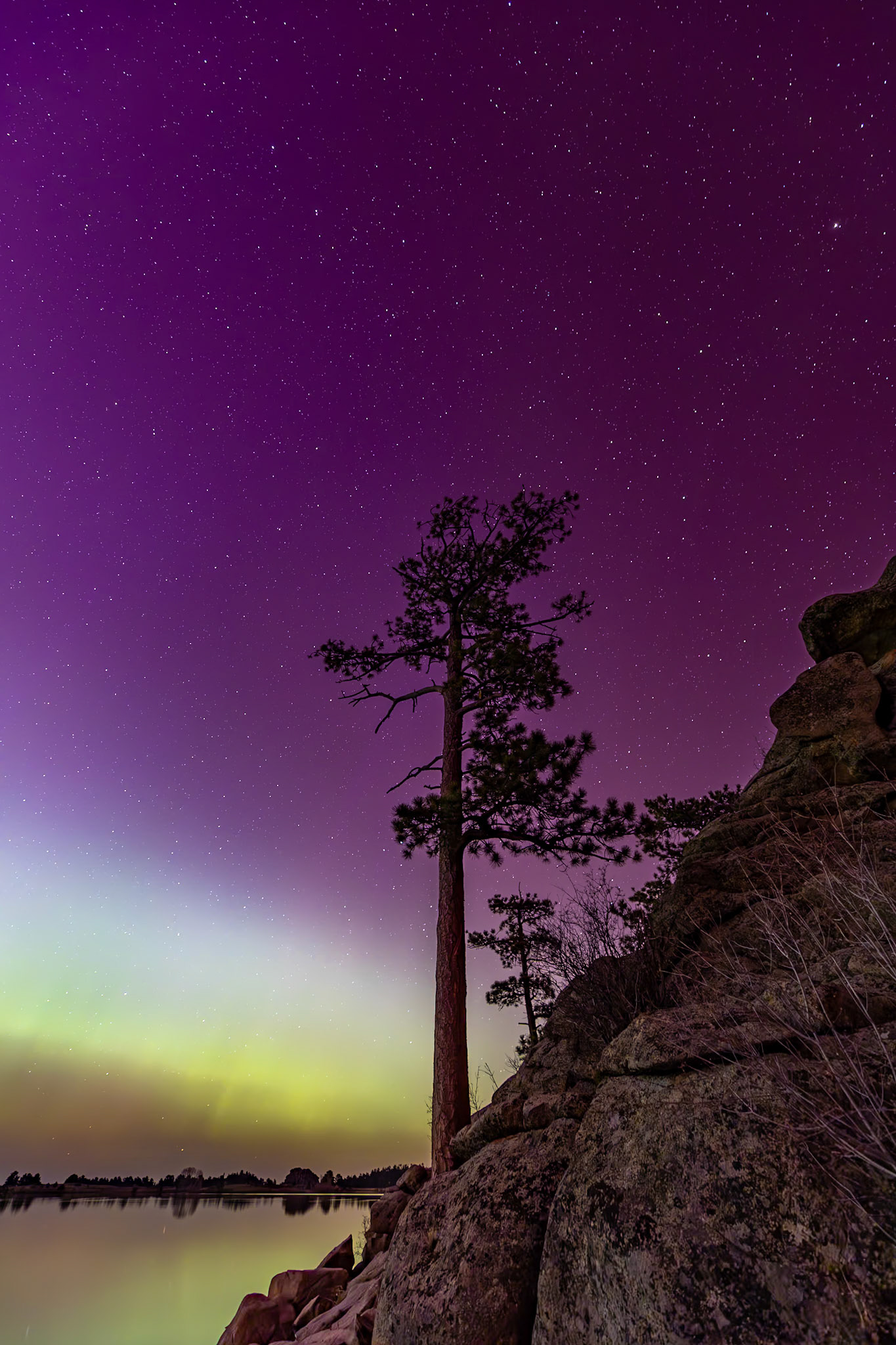 Aurora over Dowdy Lake with Ponderosa Pine