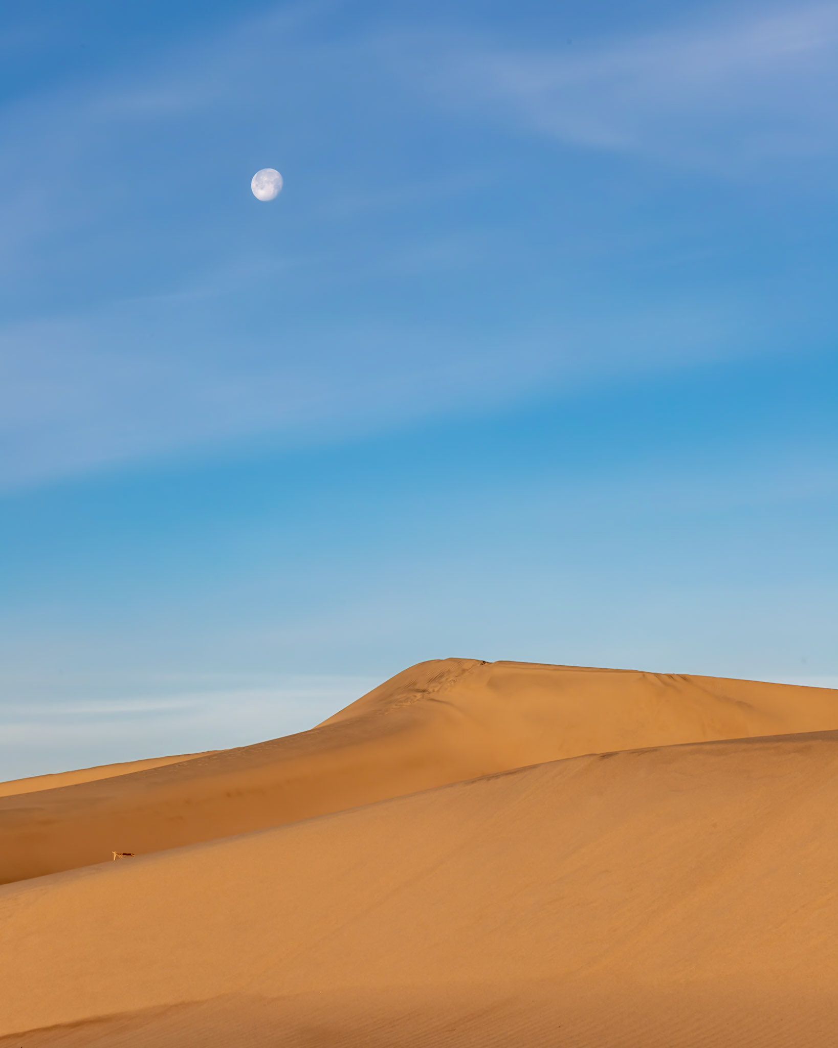 Moon over Mesquite Dunes