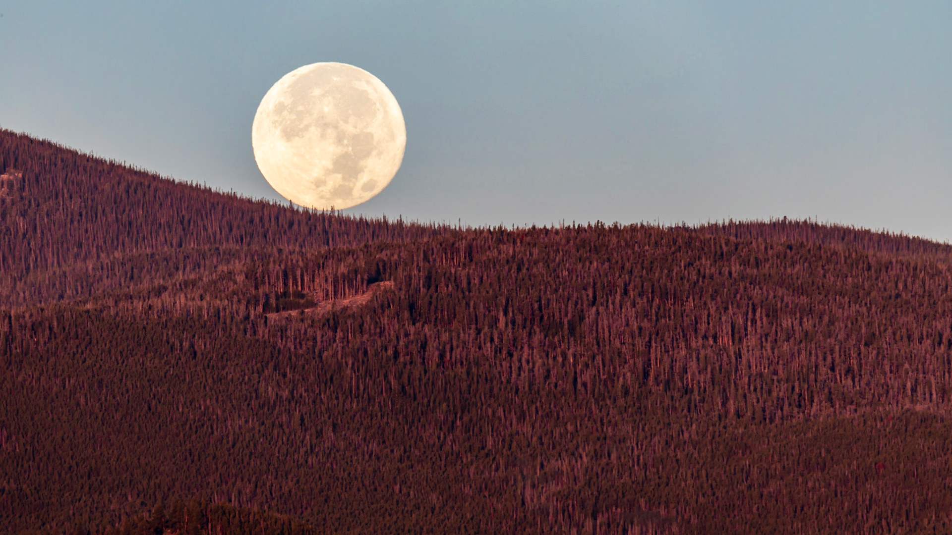 Blue Super Moon rolling down hill
