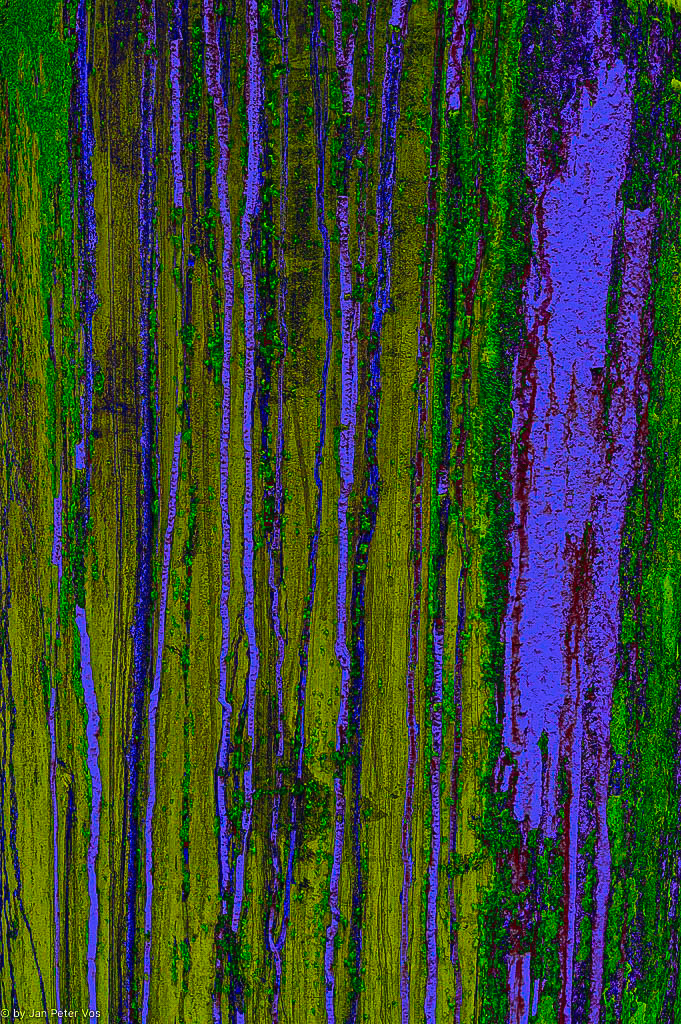 Magic Lines, 410258-101