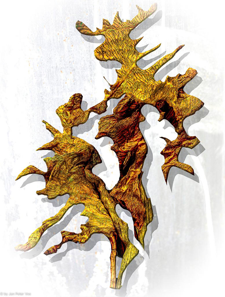 Mother &amp; Daugther Dragon, 408349-208