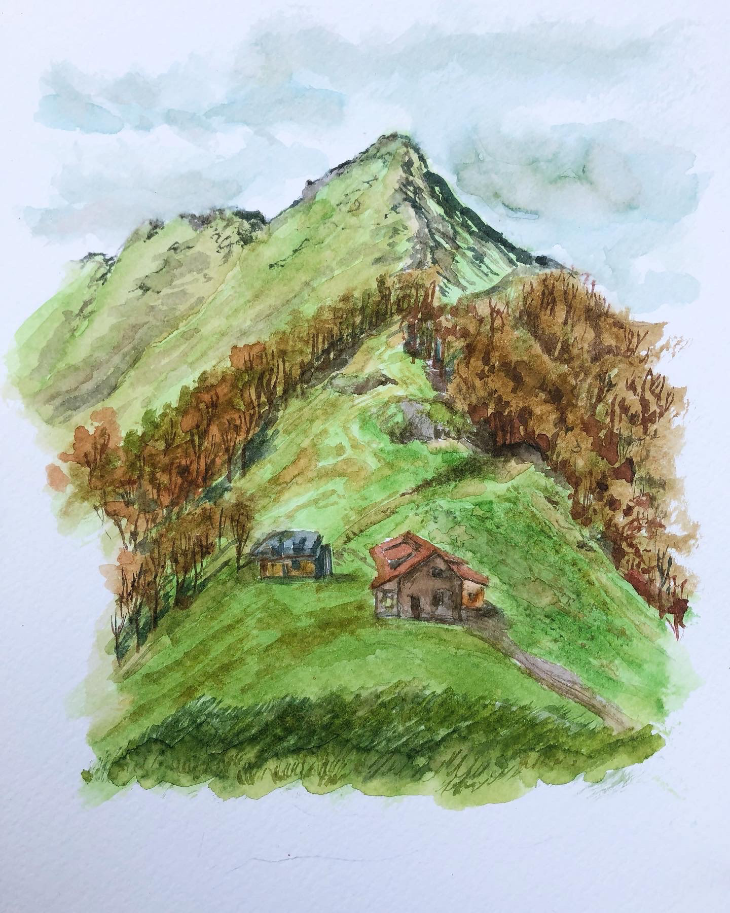 Ver de Montaña