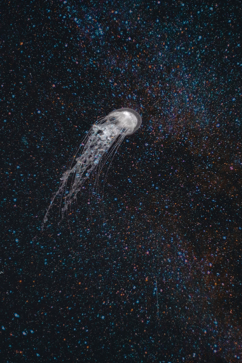 Swimming in Space