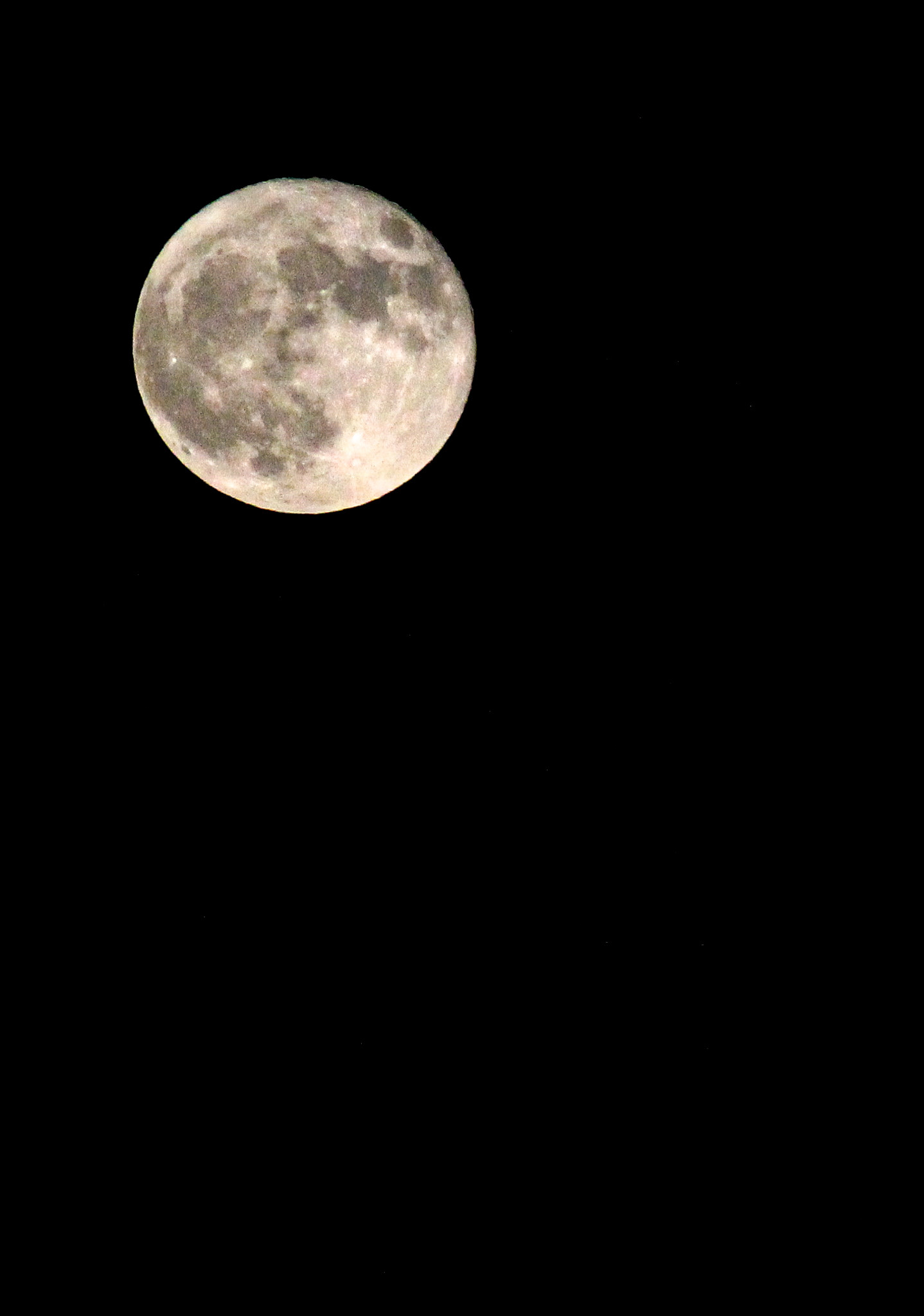 Strawberry Moon, MD / June 2022