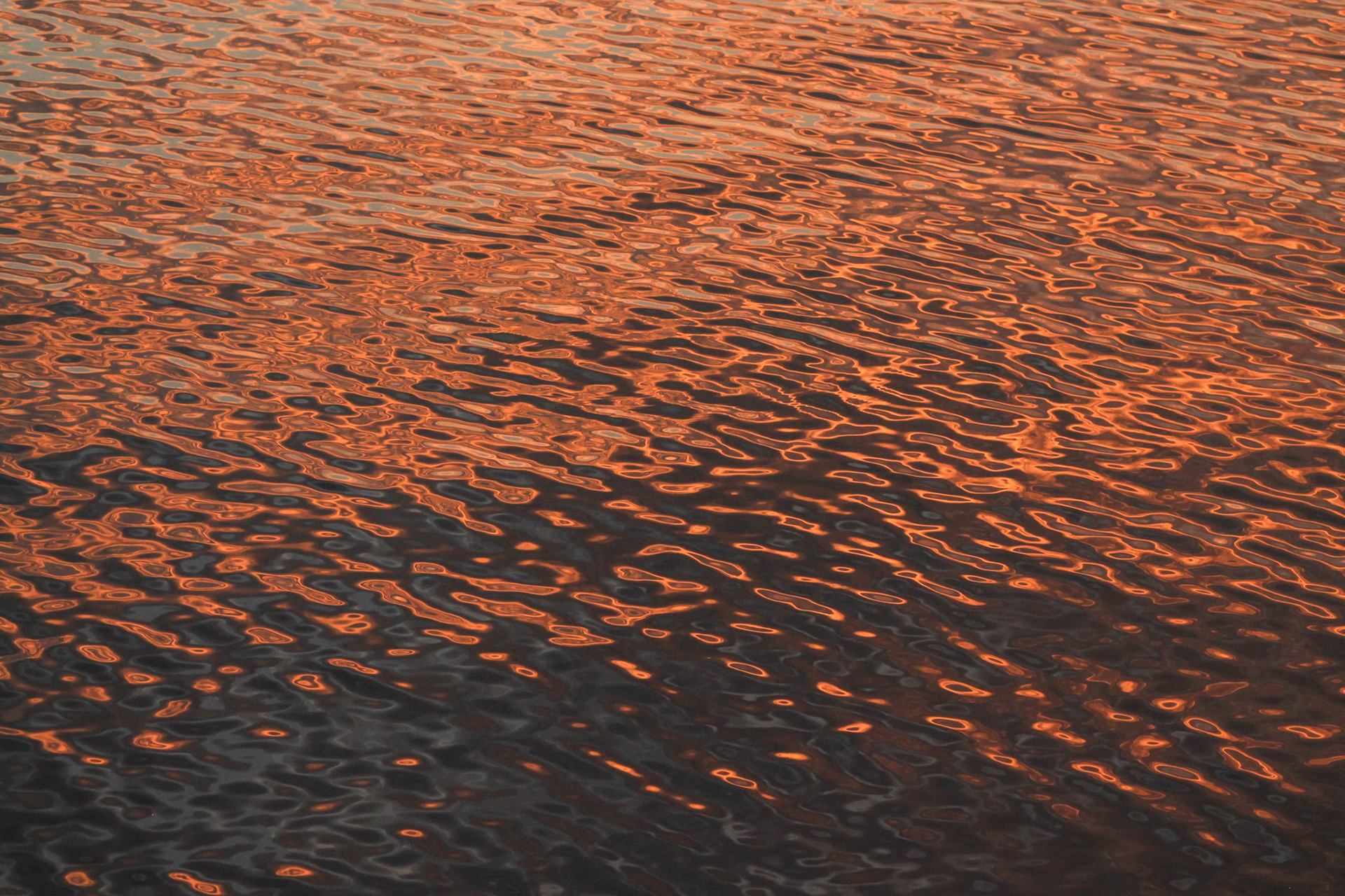 Loch Raven Reservoir, MD / Mar 2022