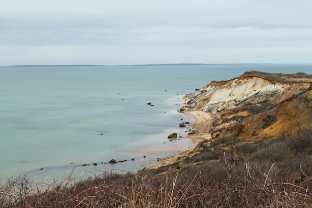 Martha's Vineyard, MA / Feb 2022