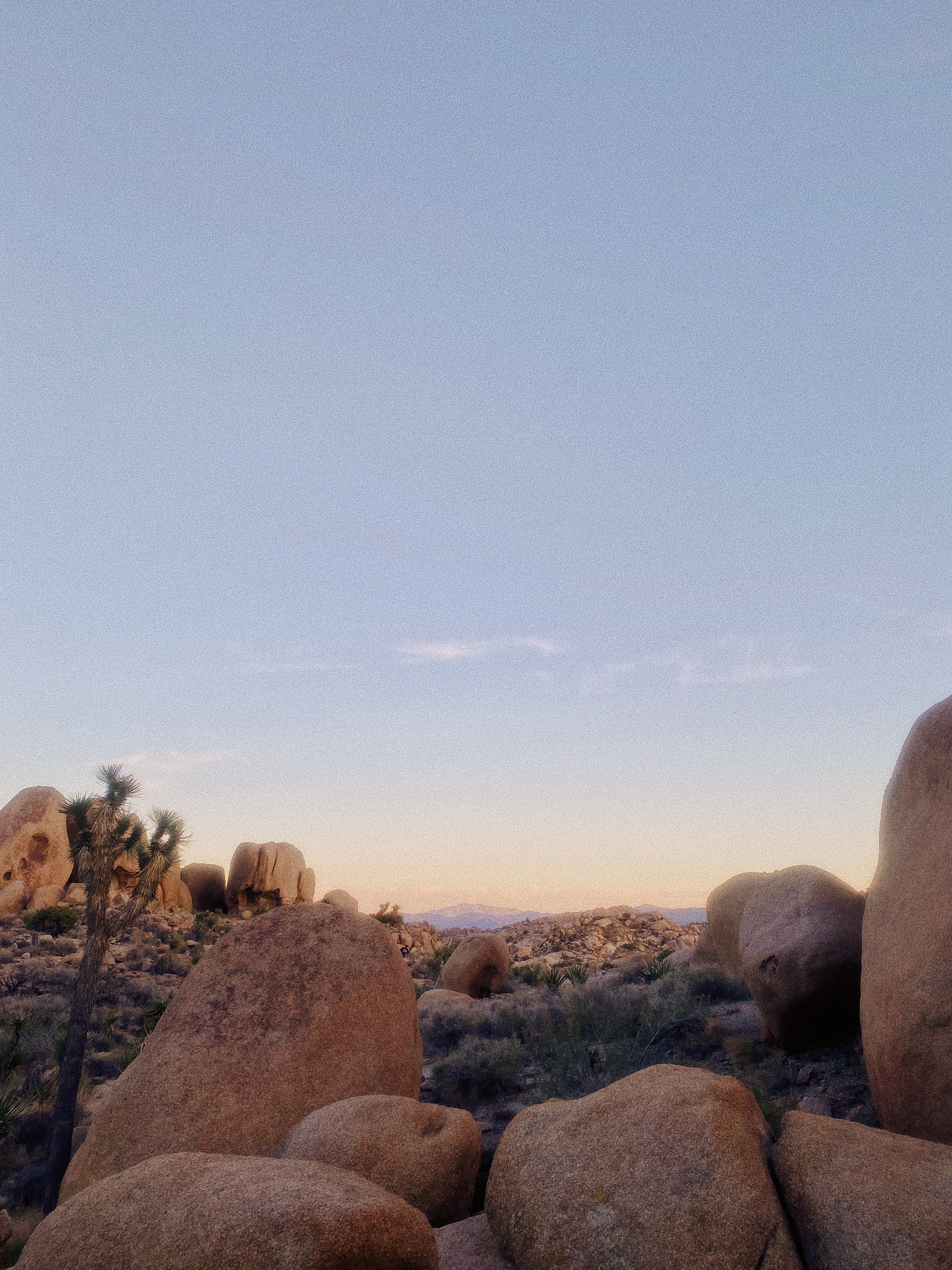 Joshua Tree National Park, CA / Oct 2021
