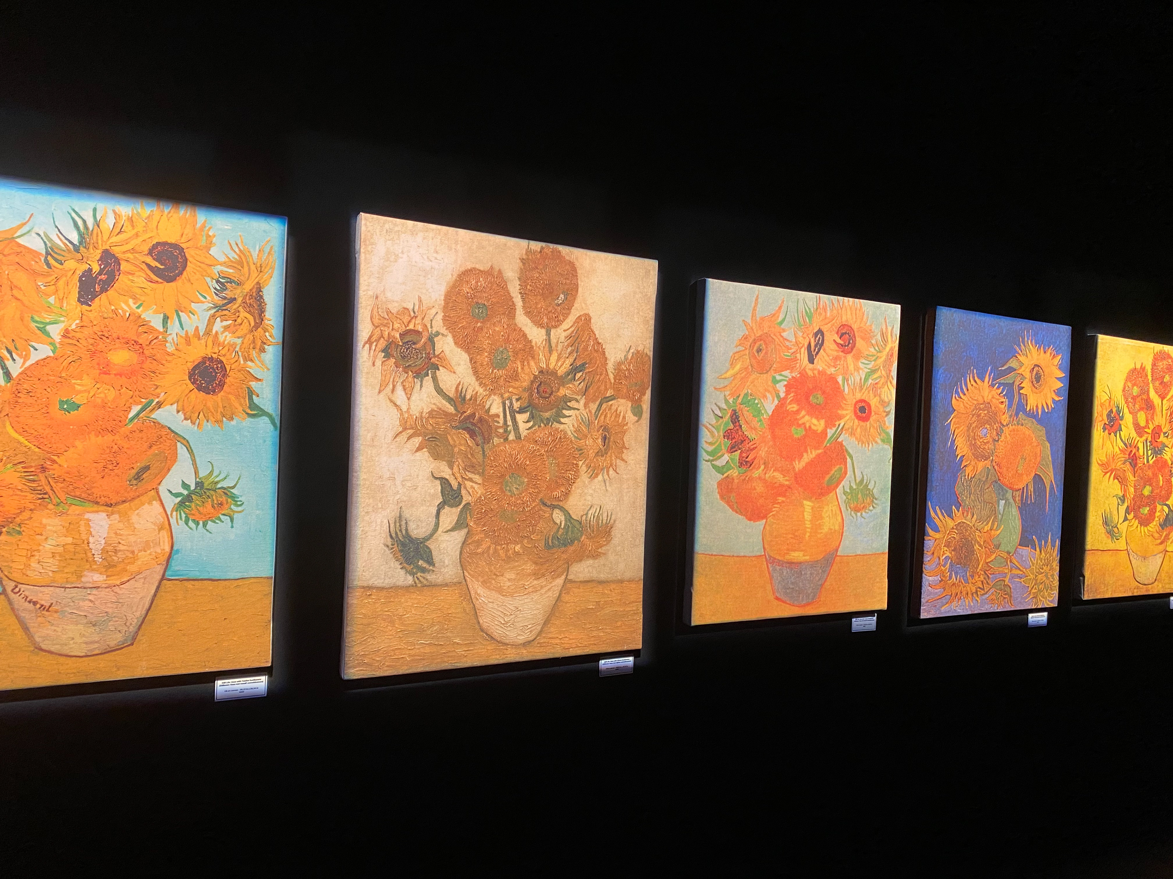 Van Gogh Exhibit, DC / Sep 2021