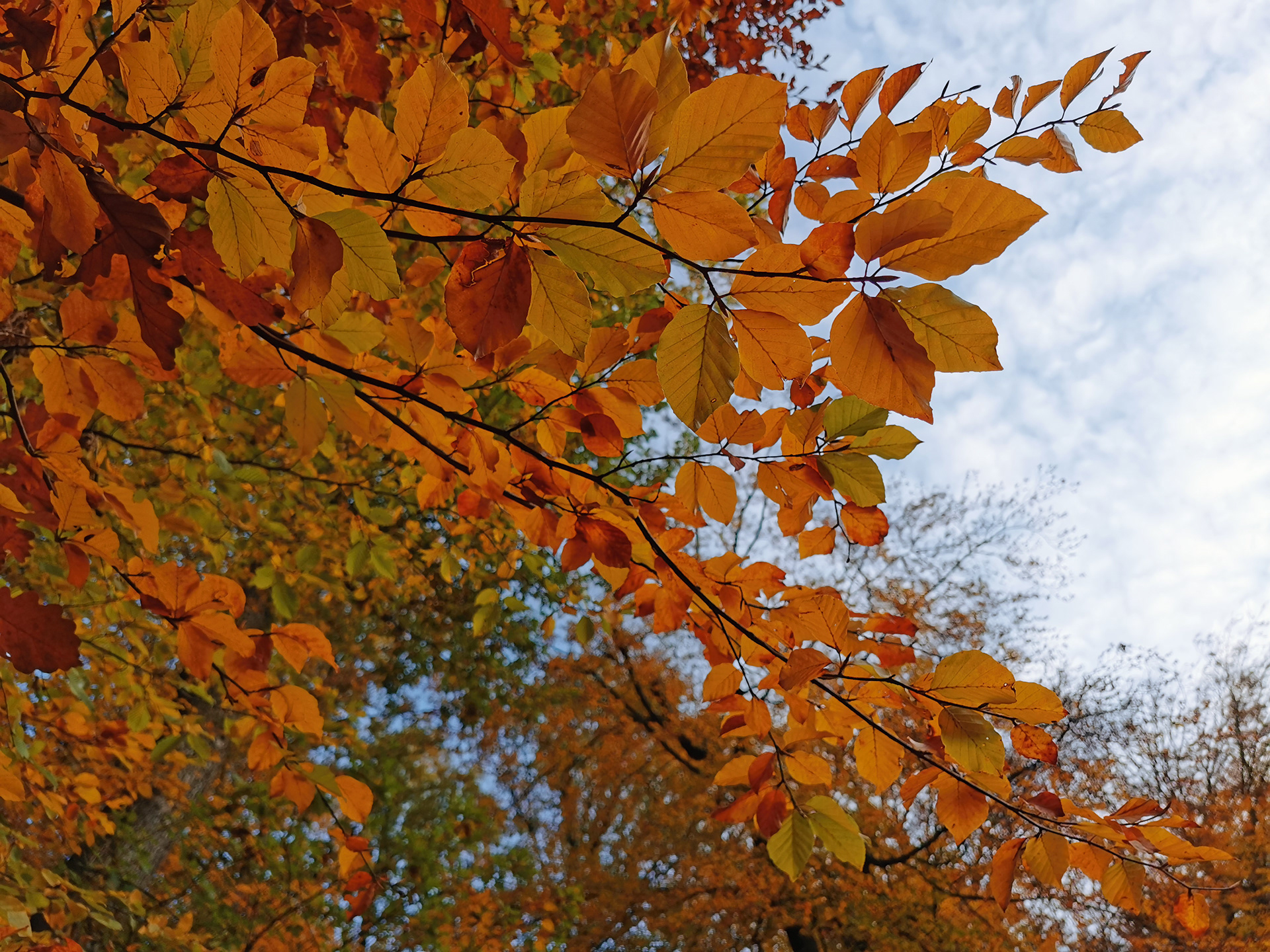 Es ist Herbst.