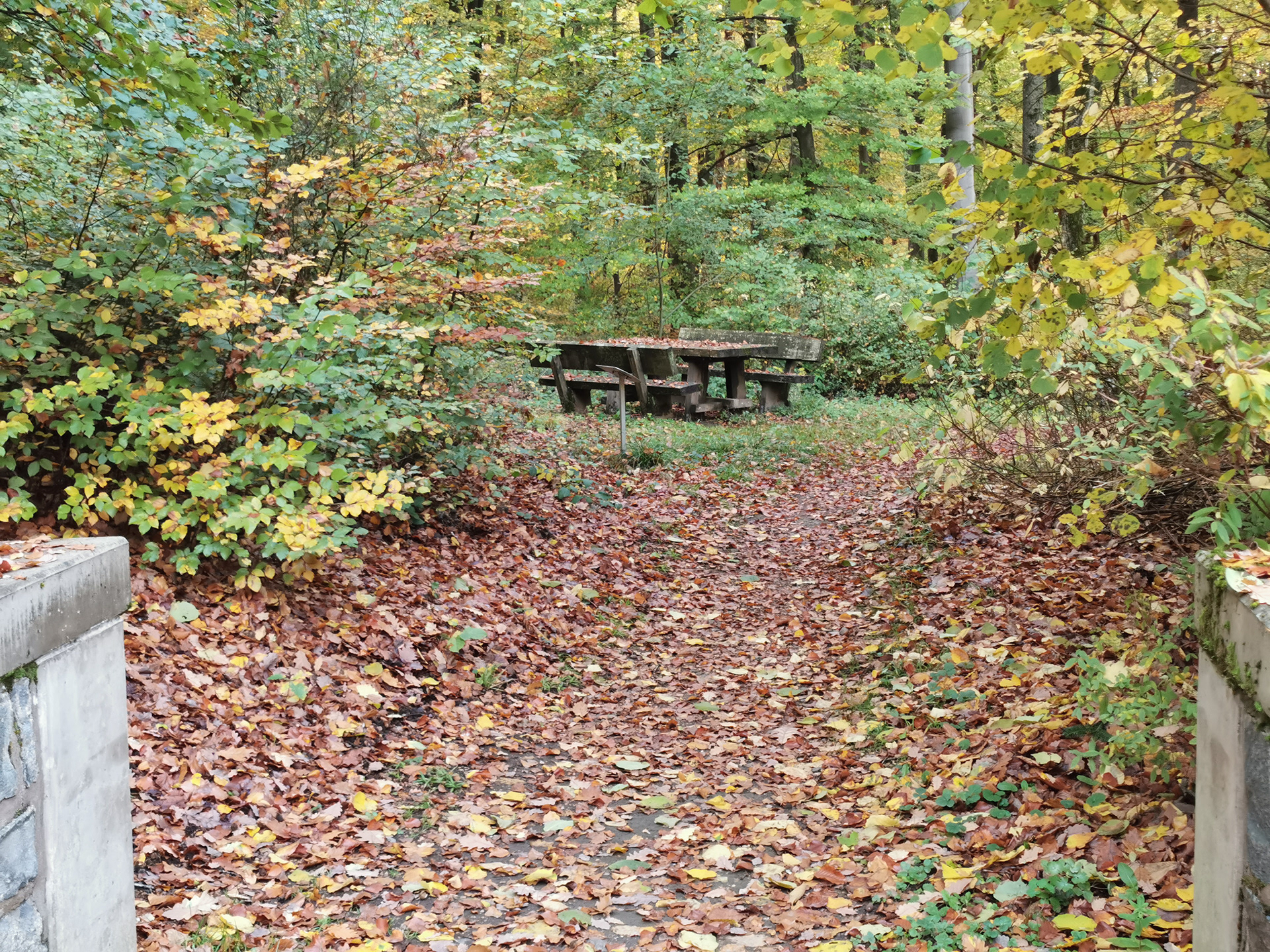 Herbstliche Sitzgelegenheit