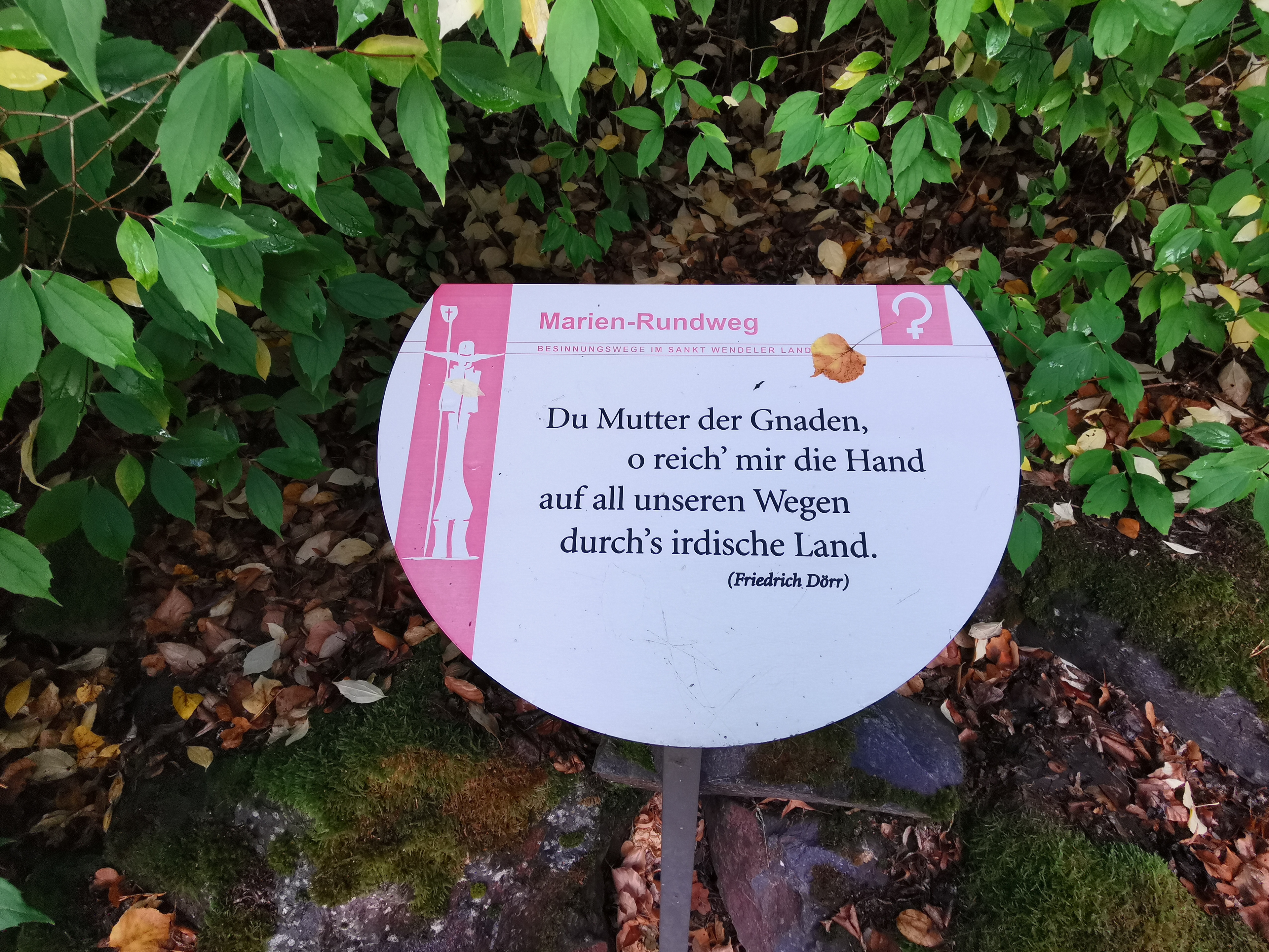 Marien-Rundweg Du Mutter der Gnaden, o reich mir die Hand auf all unsren Wegen durchs irdische Land