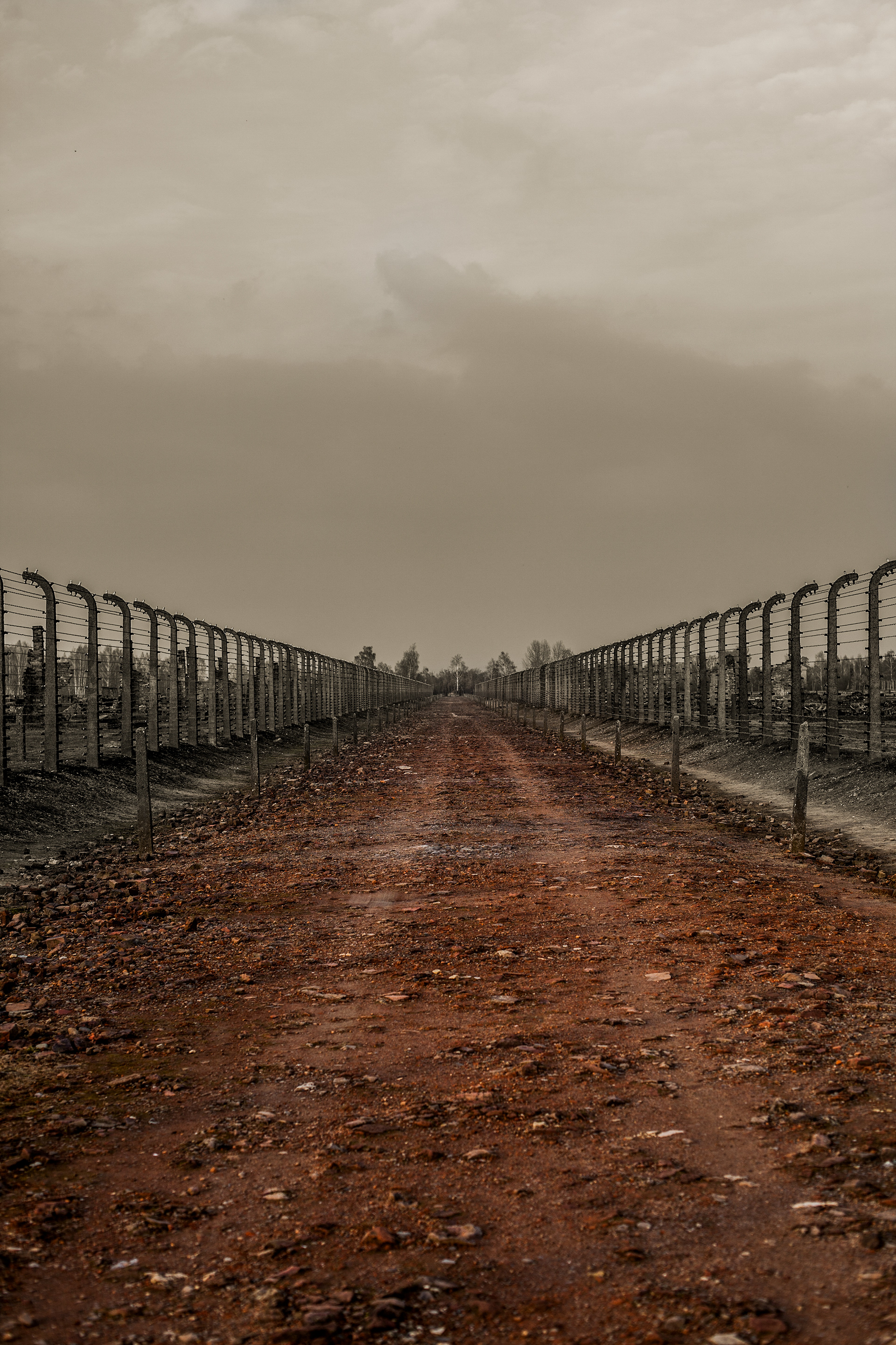 Long central road Birkenau