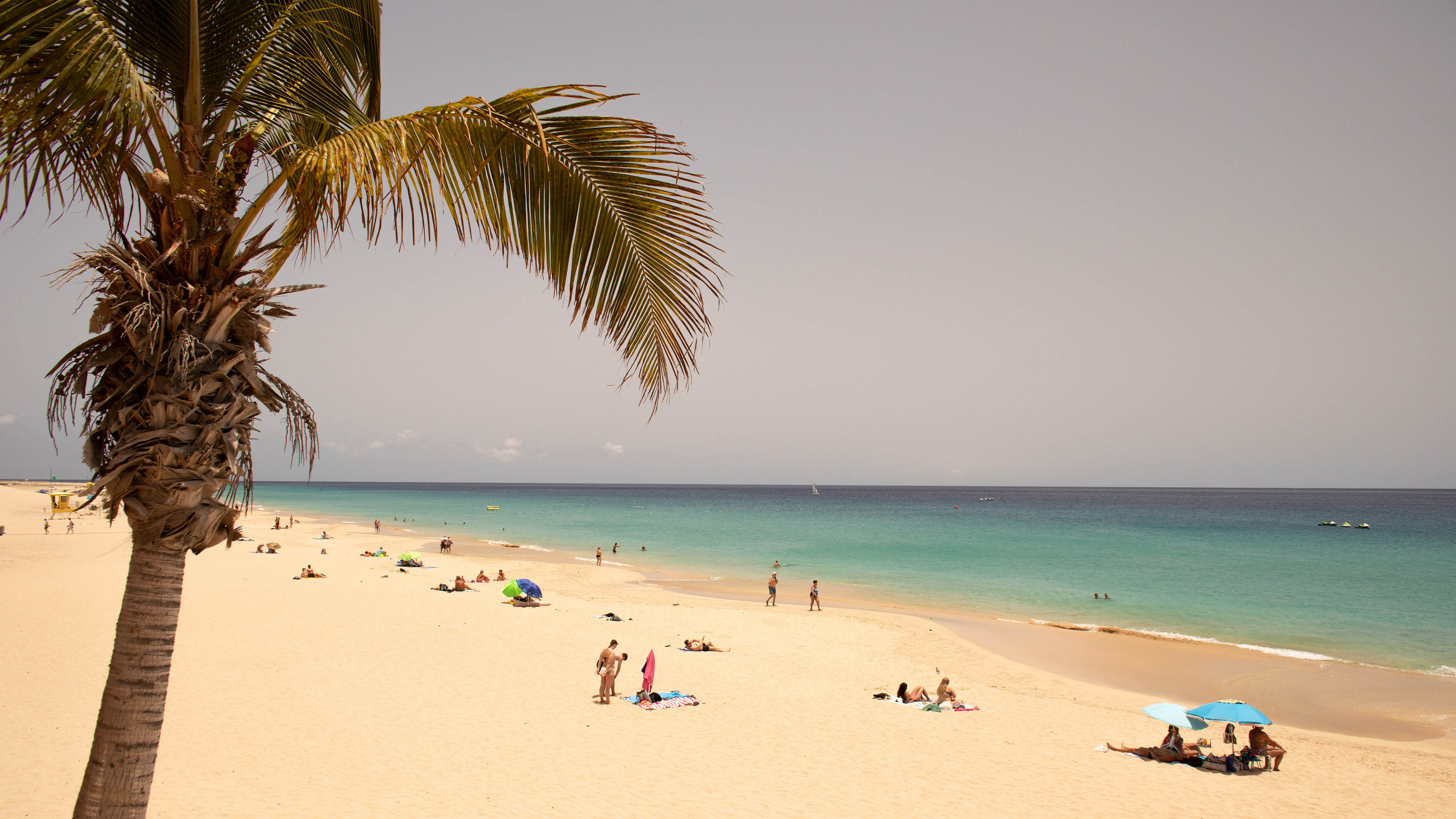 Beach Fuerteventura
