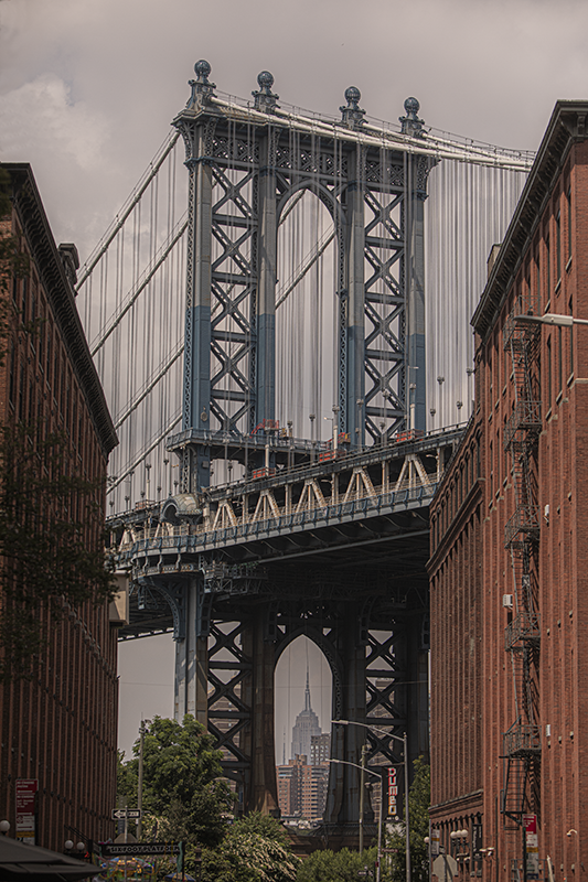 Classic Dumbo Shot