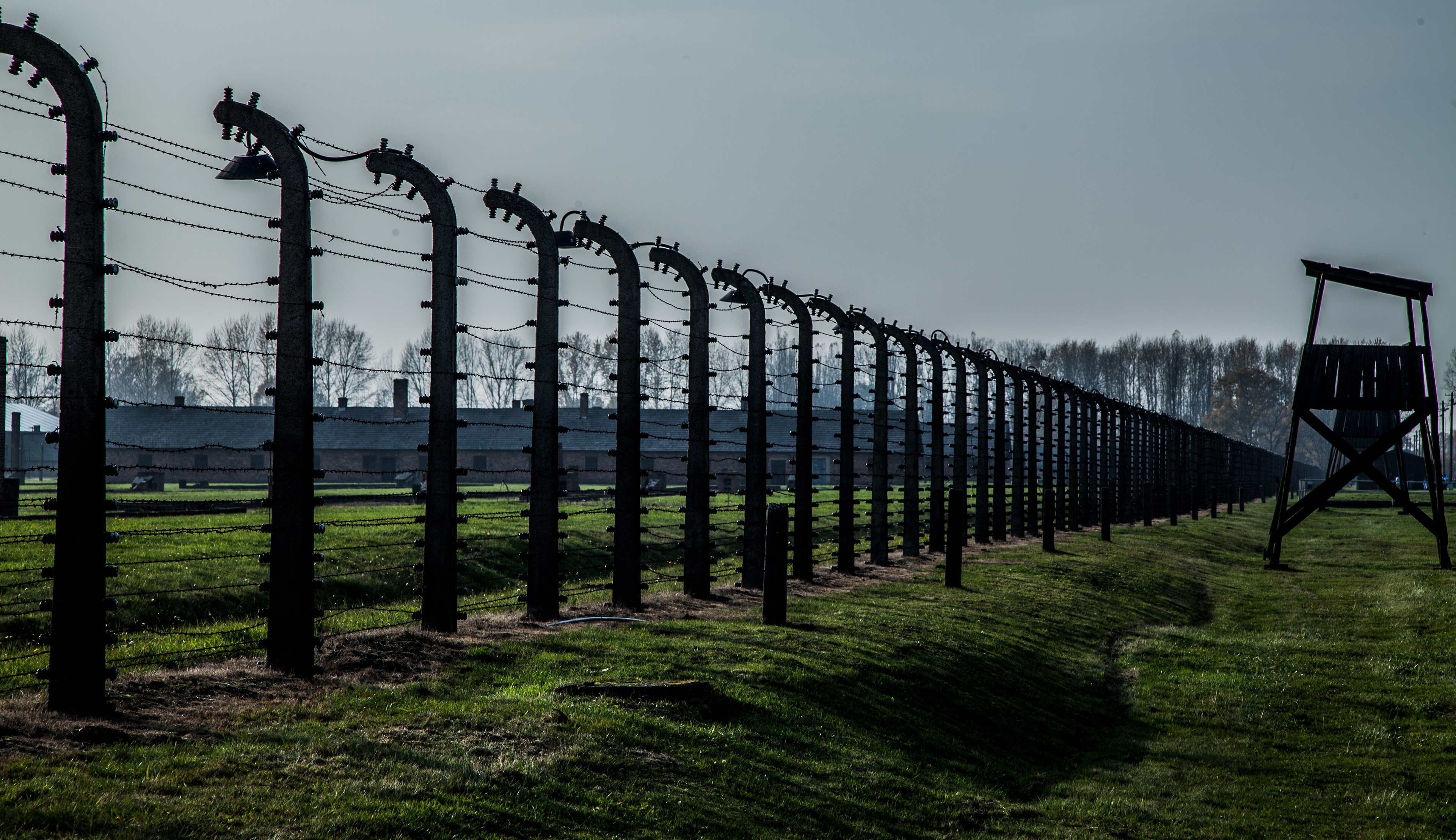 Birkenau Fence and guard tower