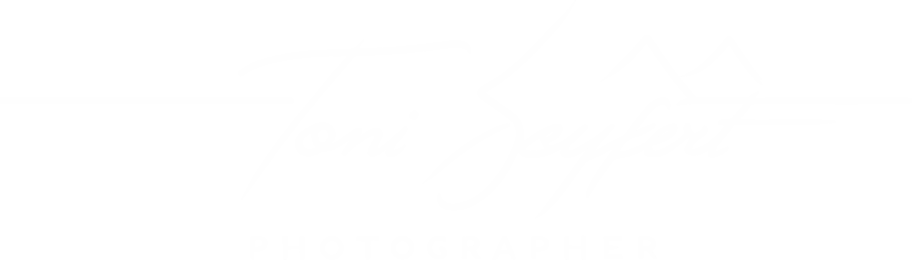 Toni Seyfert