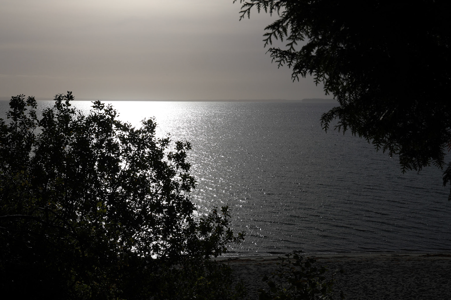 Aus dem Schatten ins Licht