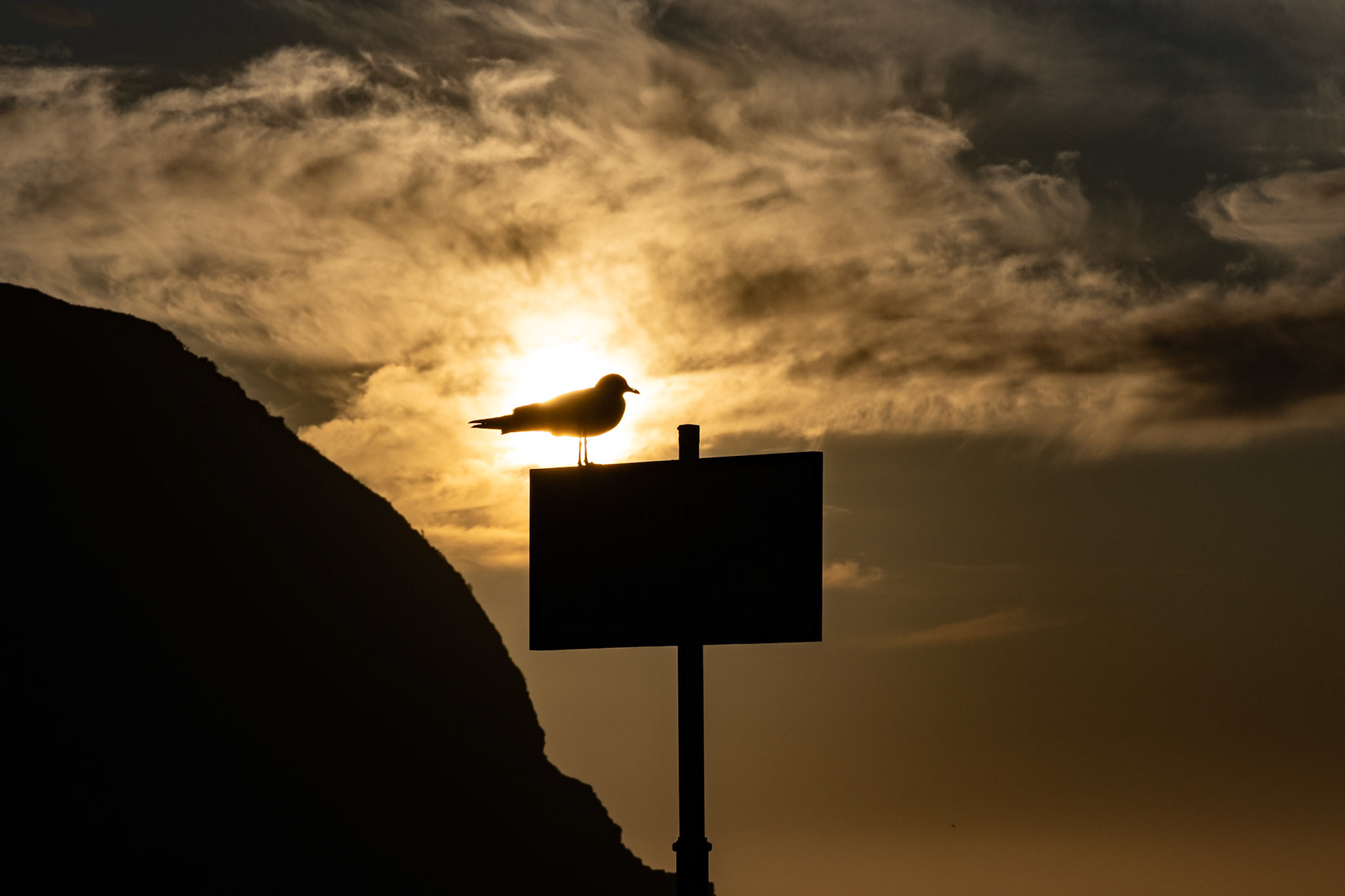 Gedankenflug