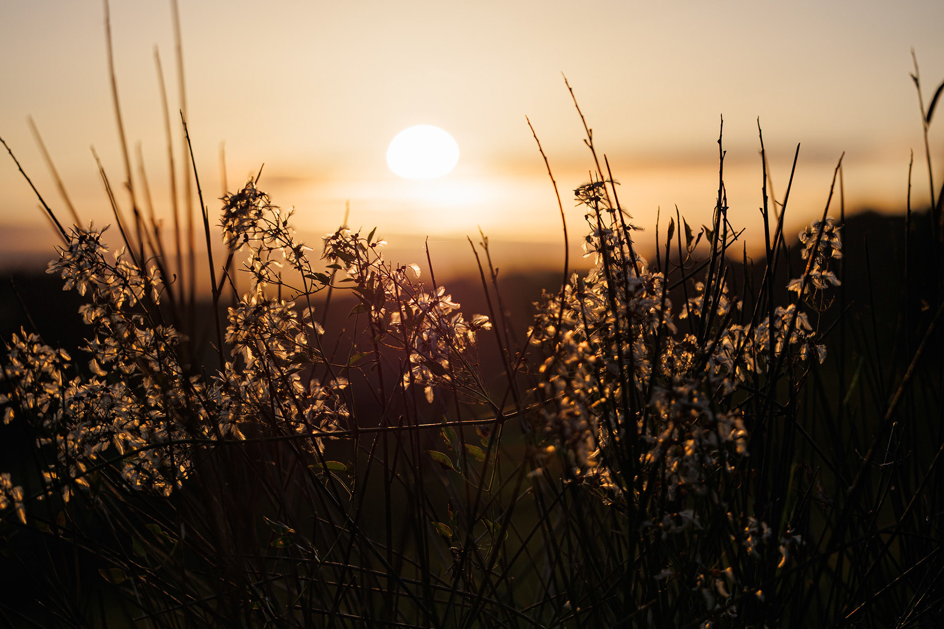 Der letzte Kuss der Sonne