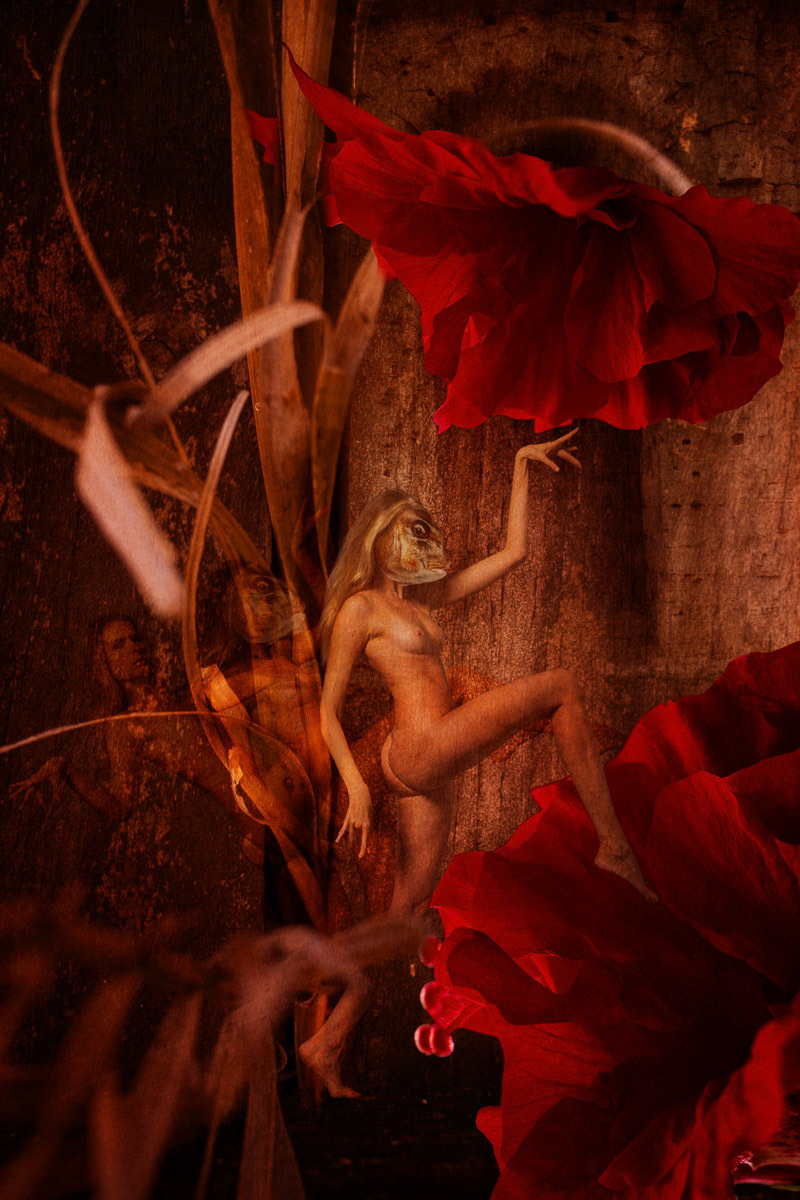 Opium