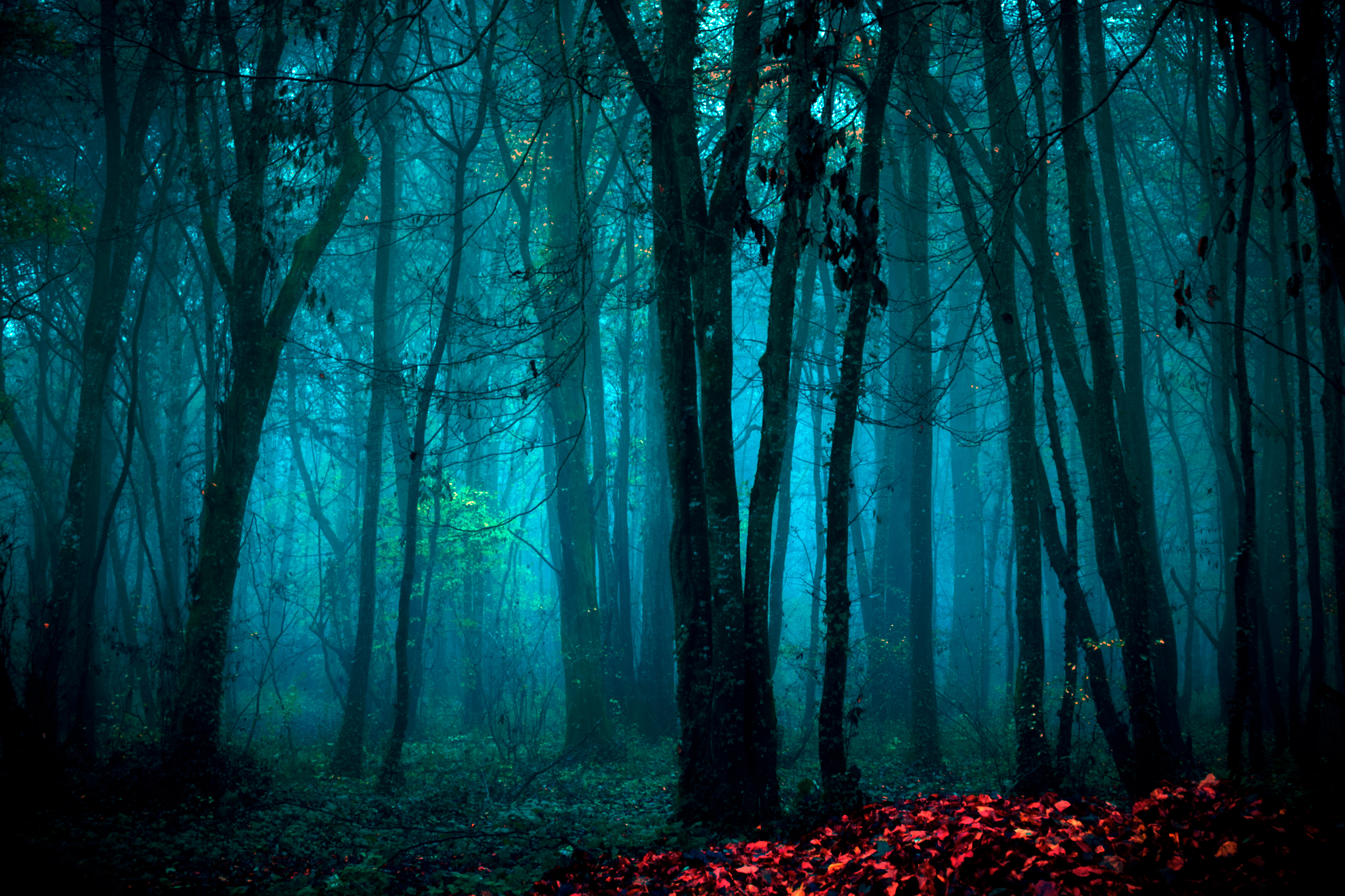 Brume bleue @Sylvia ROSSI