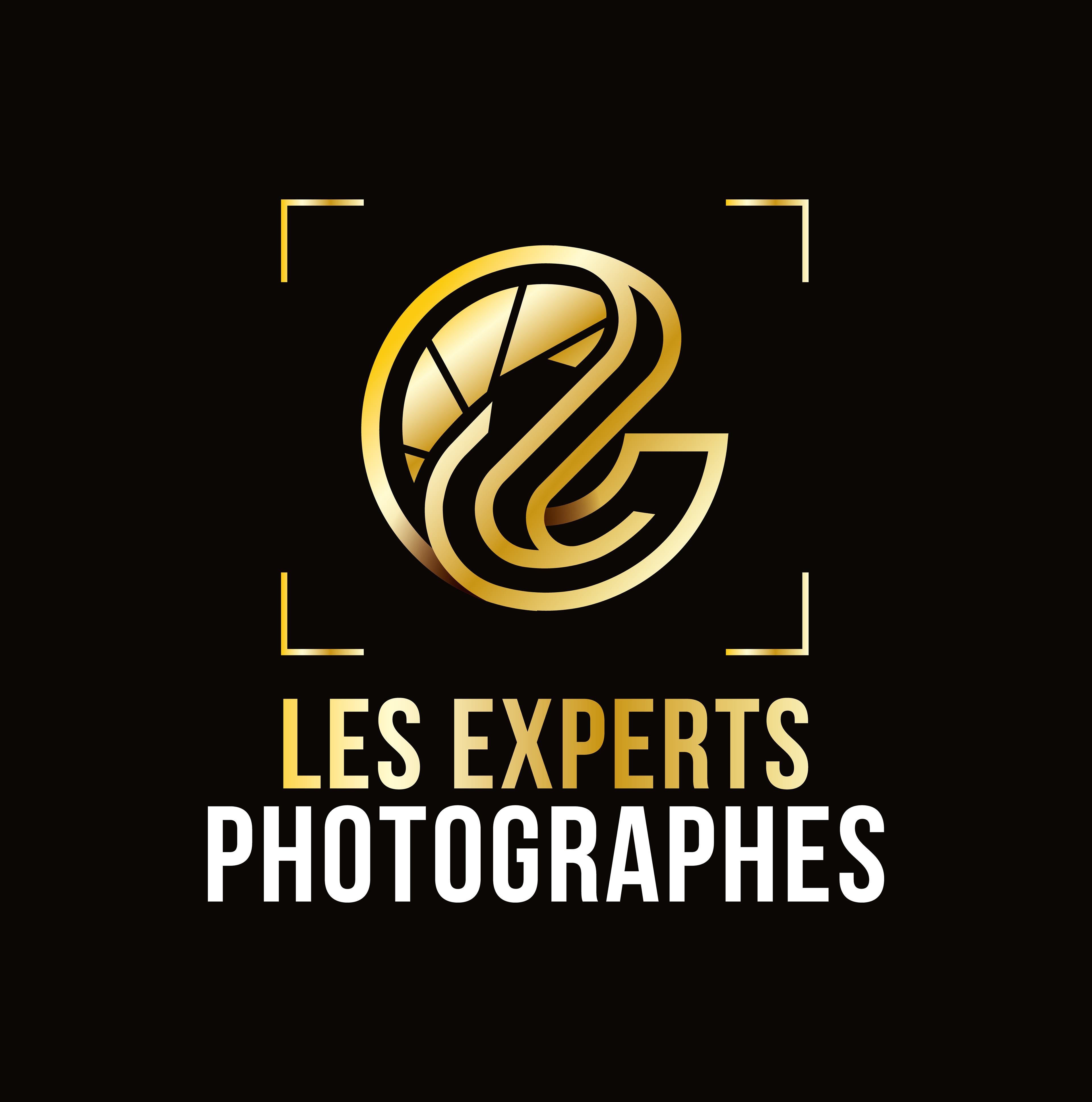 Logo Les Experts Photographes