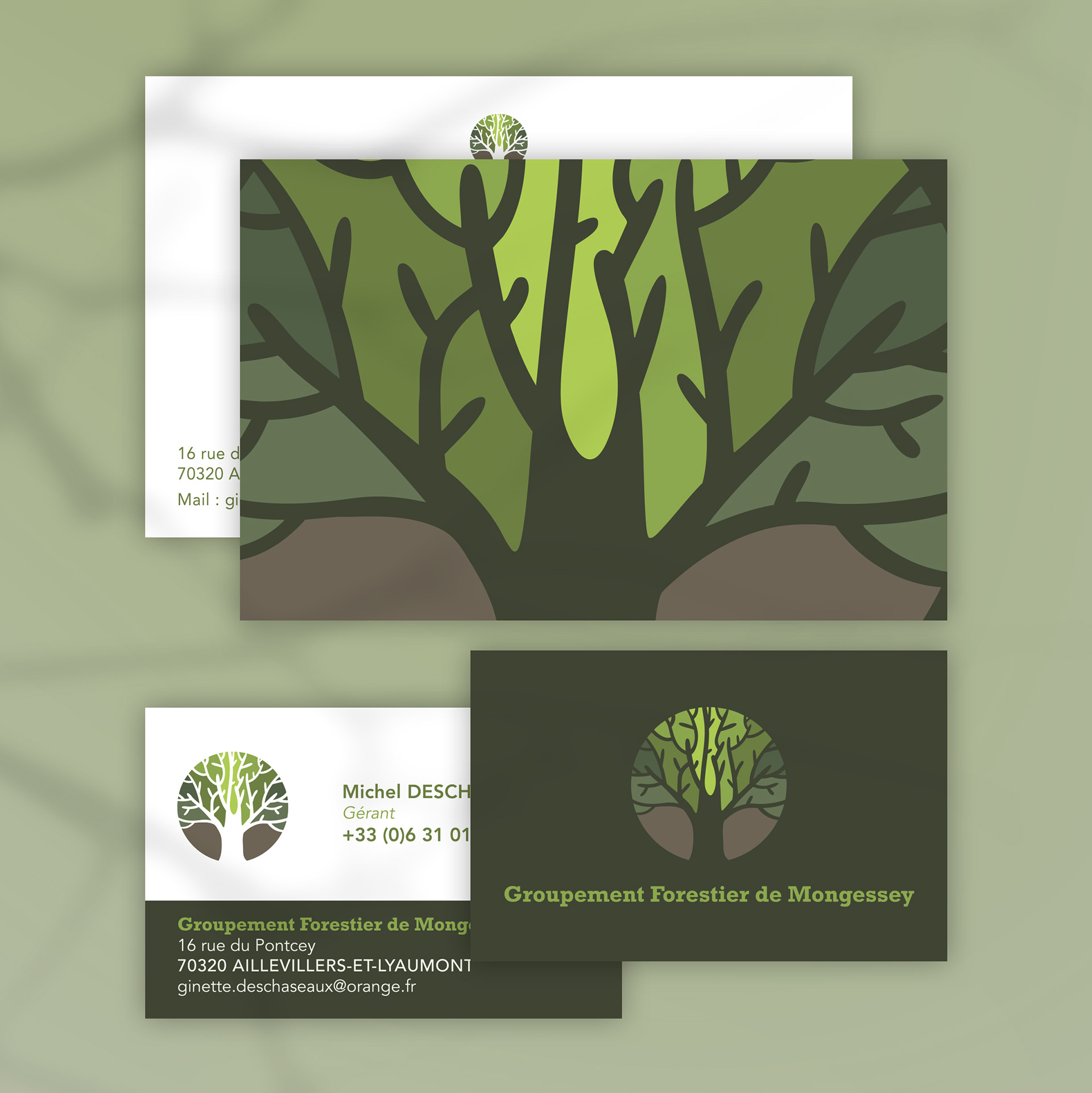 Cartes pour le Groupement Forestier de Mongessey.