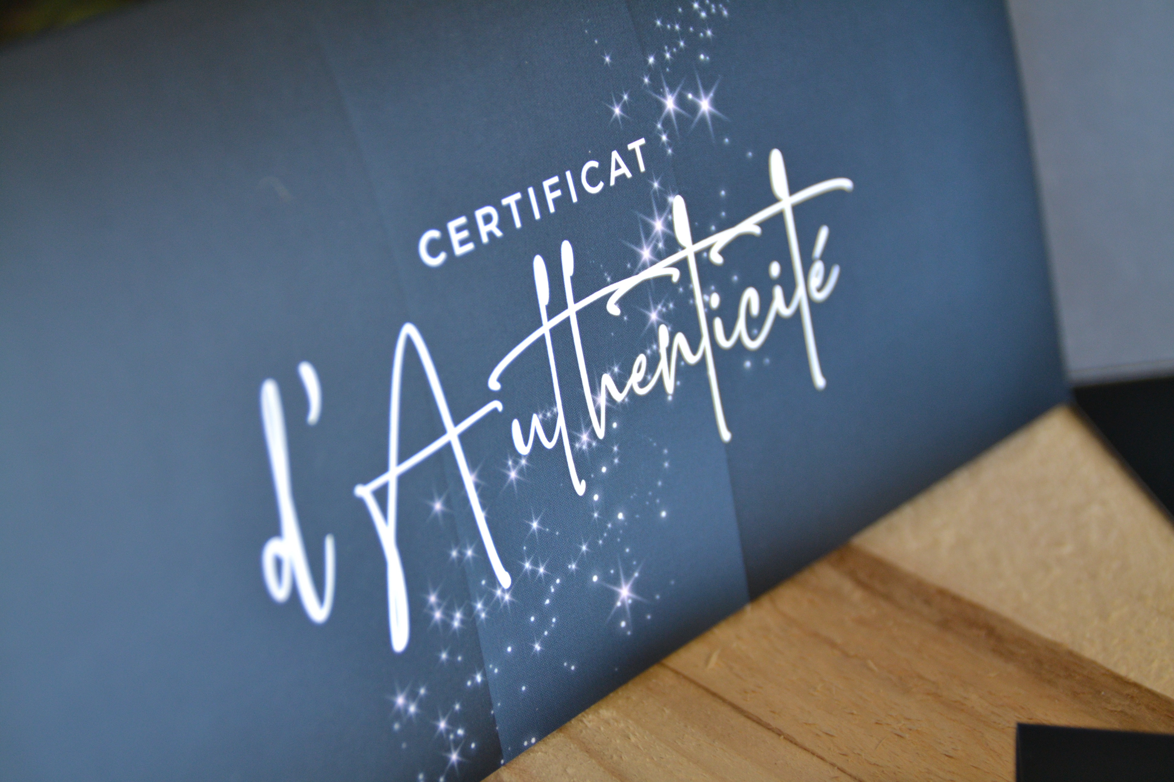 Certificat d'authenticité Le Magicien de la Ferraille.