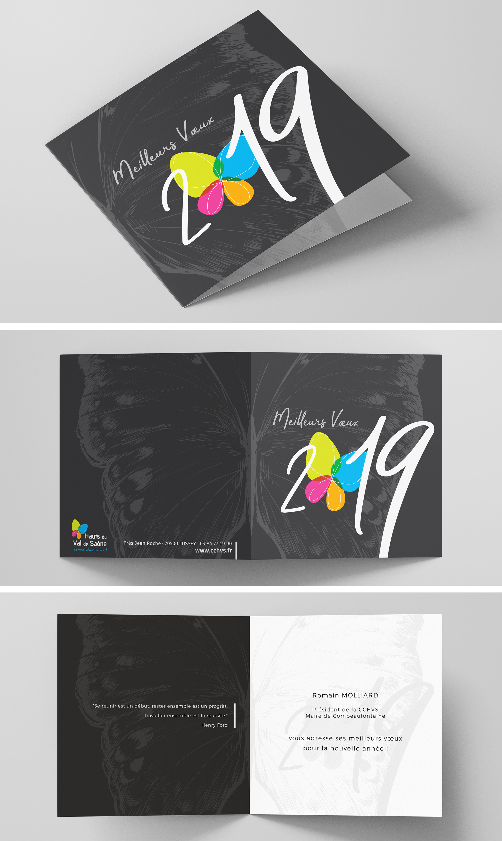 Carte de voeux CCHVS 2019