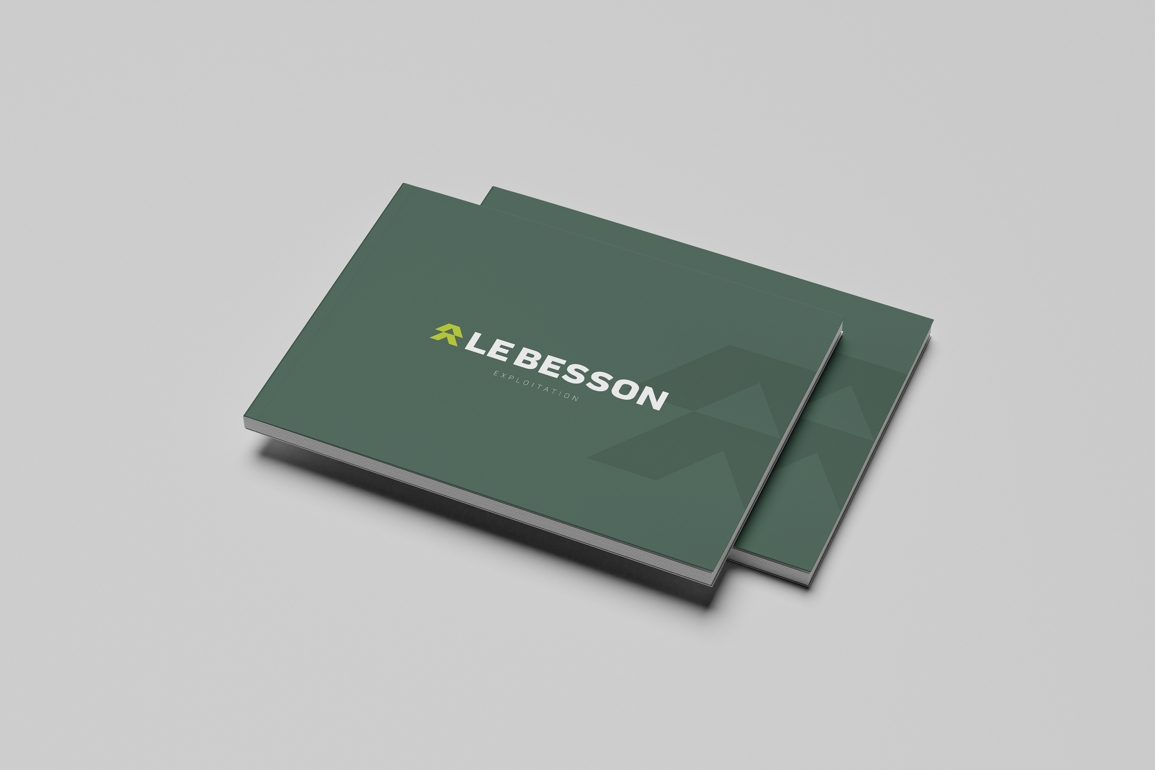 Catalogue Le Besson.