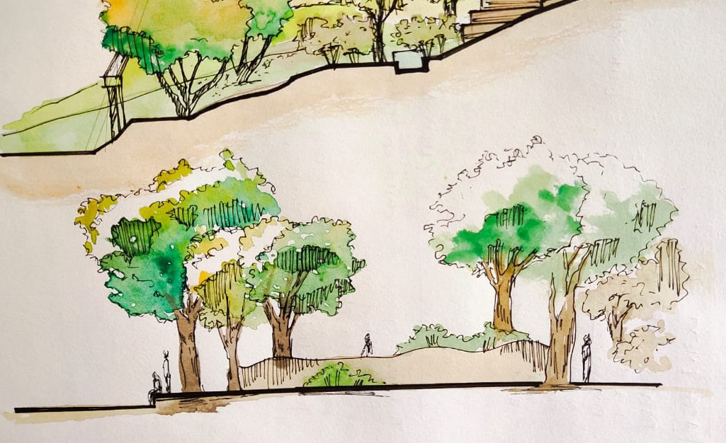 Landscape Design