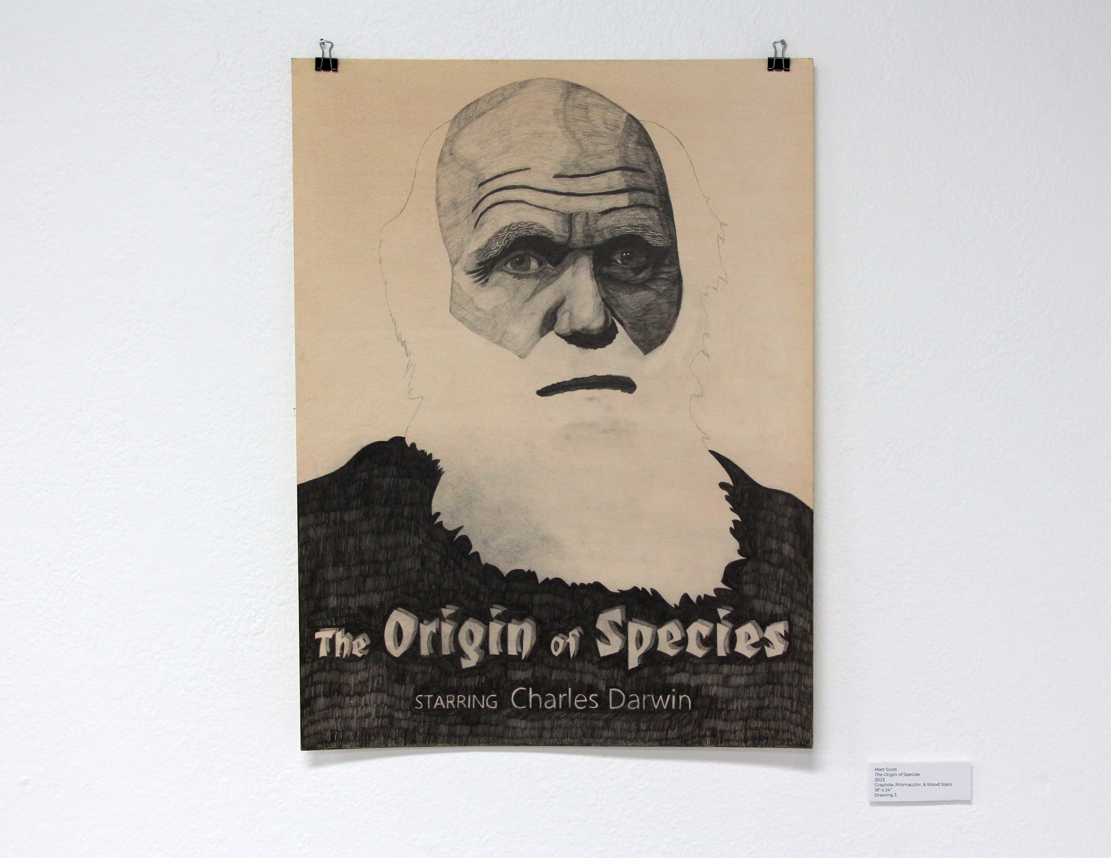 The Origin of Species - 2023 - Graphite, Prismacolor, and Wood Stain - 18" x 24"