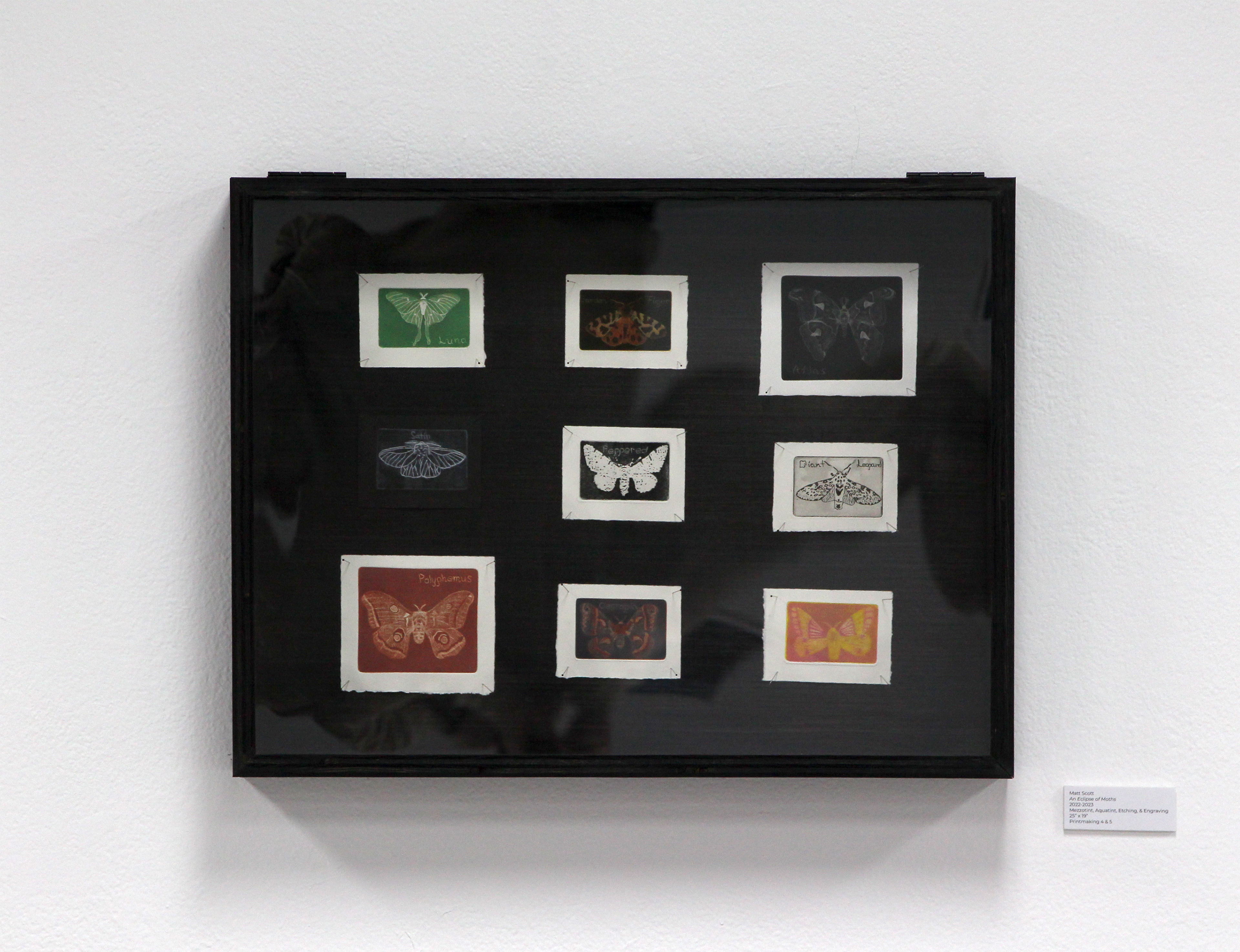 An Eclipse of Moths - 2022/2023 - Mezzotint, Aquatint, Etching, & Engraving - 25" x 19"