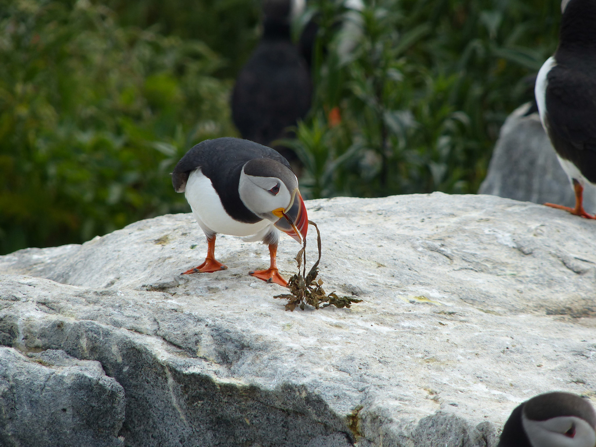 Moments in Nature Collection of Favorites