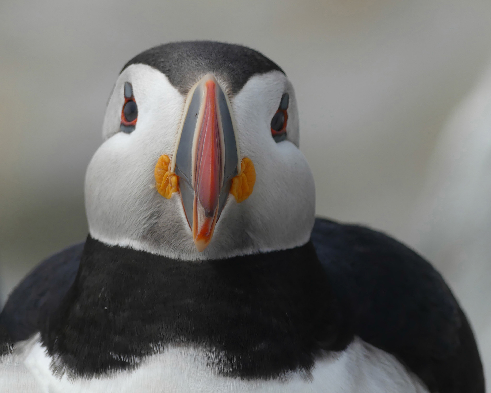 Moments in Nature Collection of Favorites