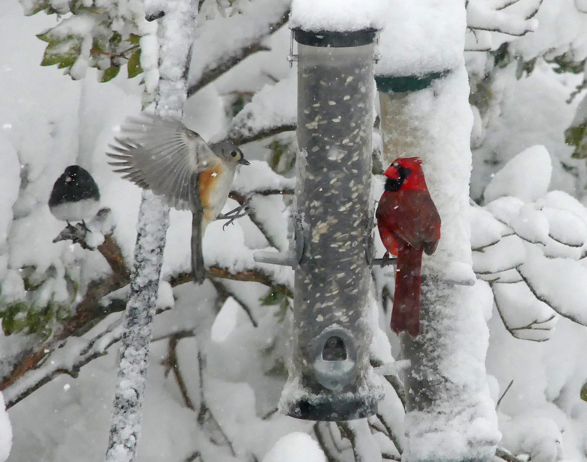 Moments in Nature Collection of Favorites