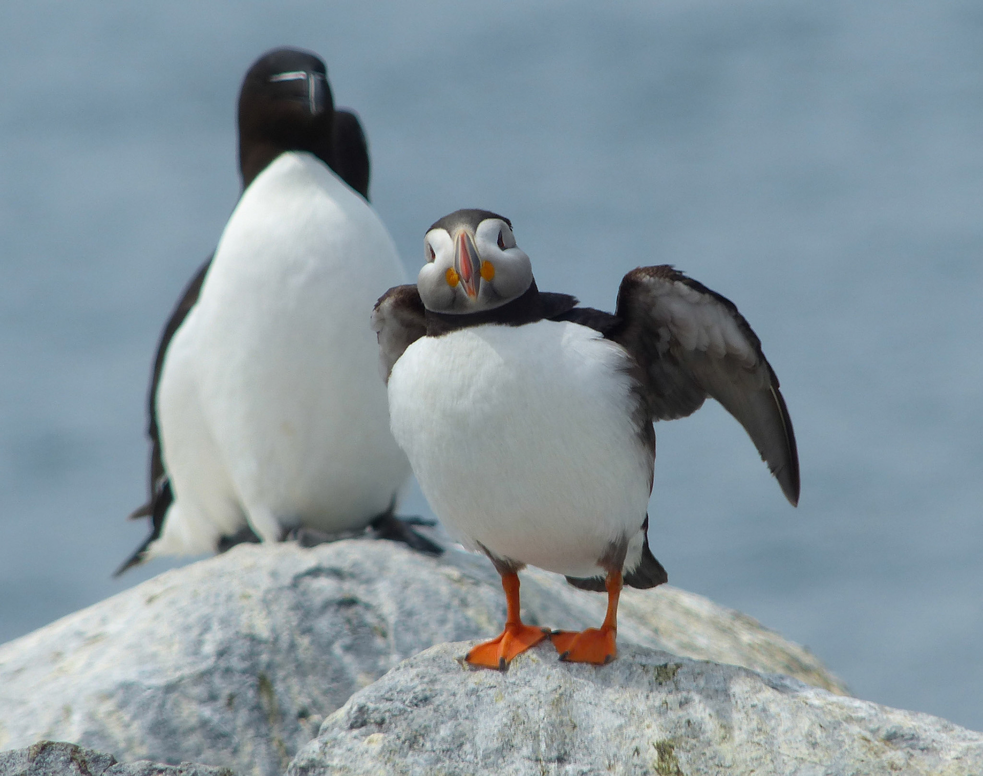 Moments in Nature Collection of Favorites