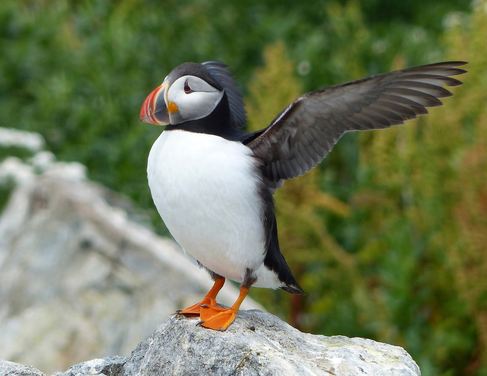 Moments in Nature Collection of Favorites