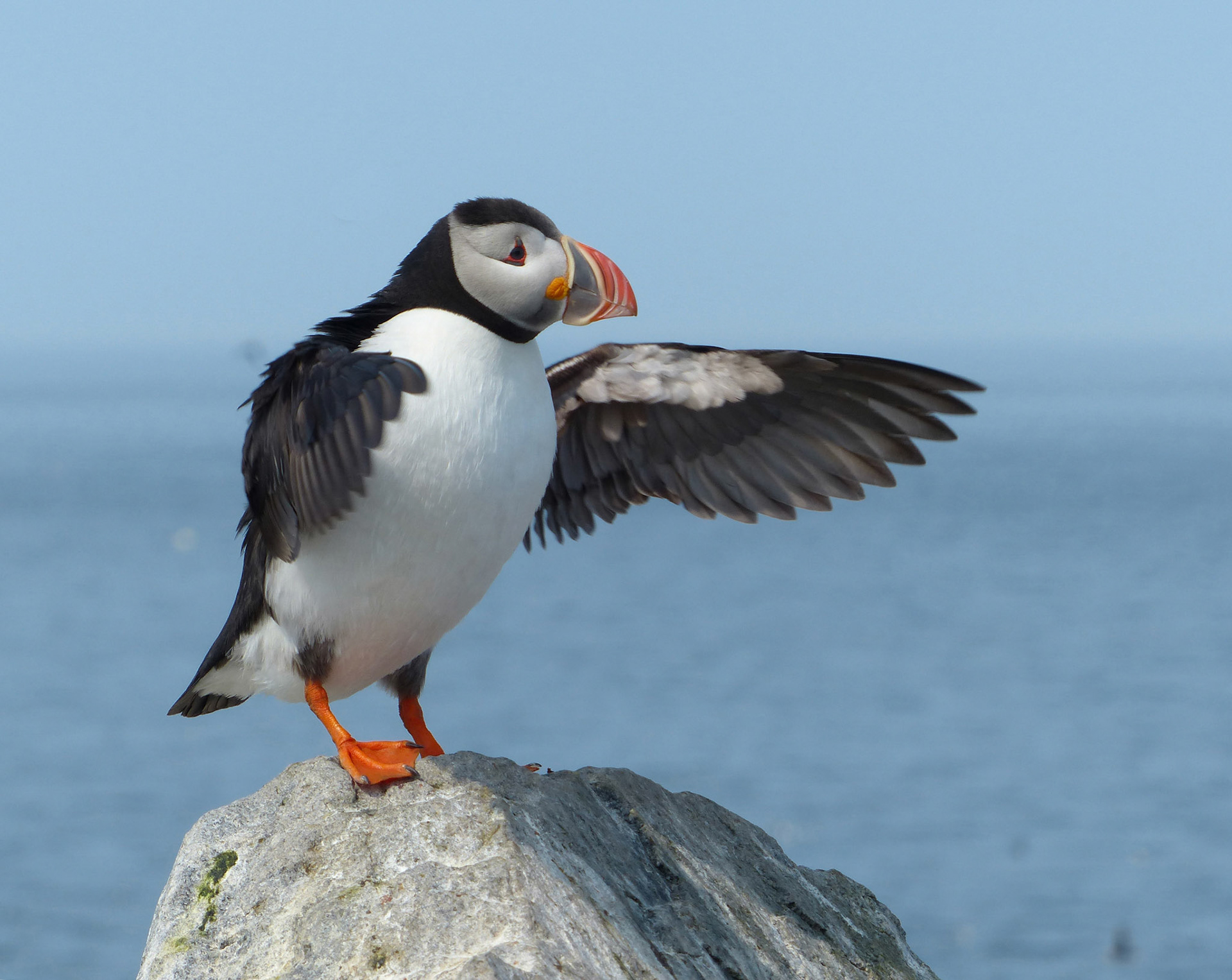 Moments in Nature Collection of Favorites