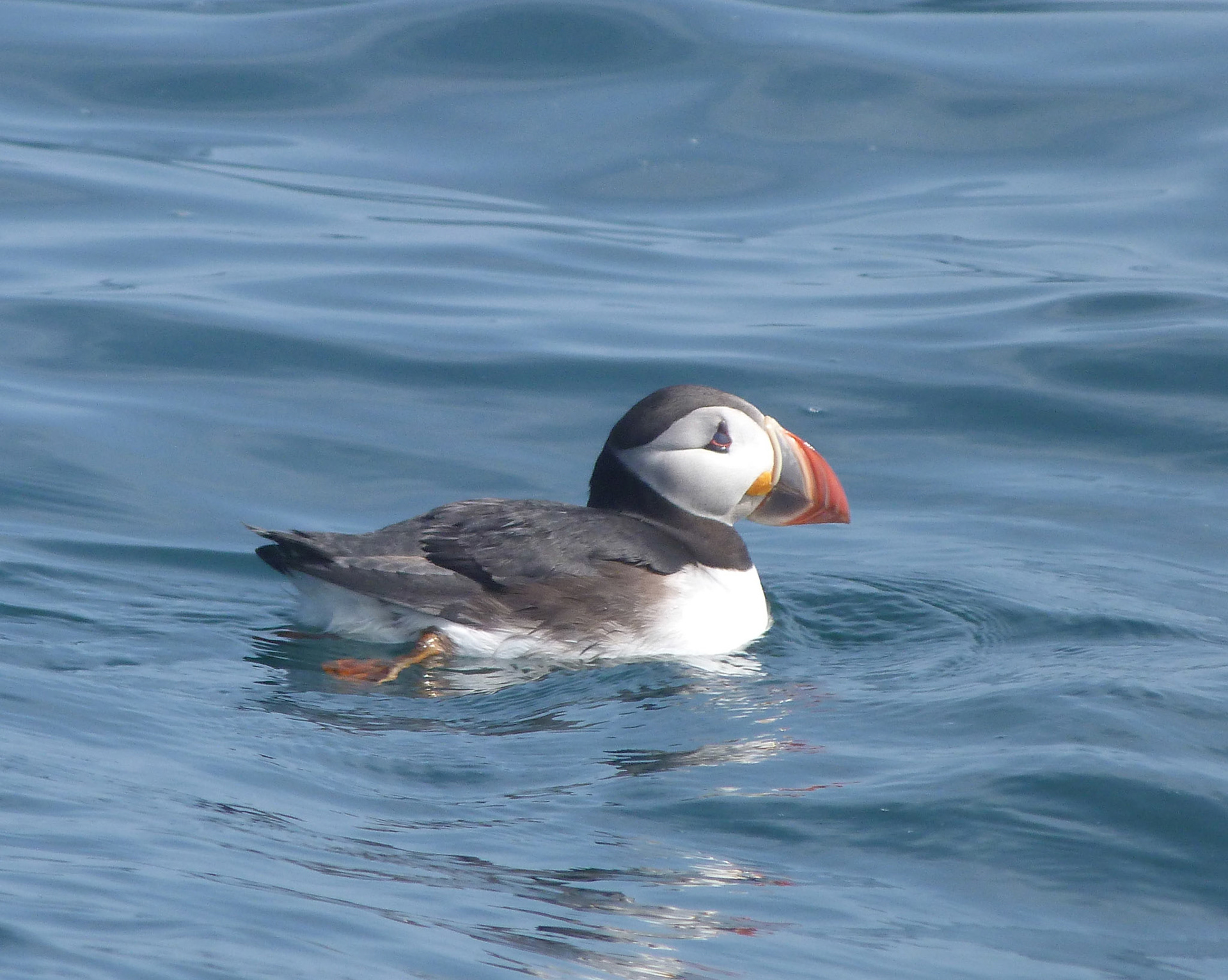 Moments in Nature Collection of Favorites