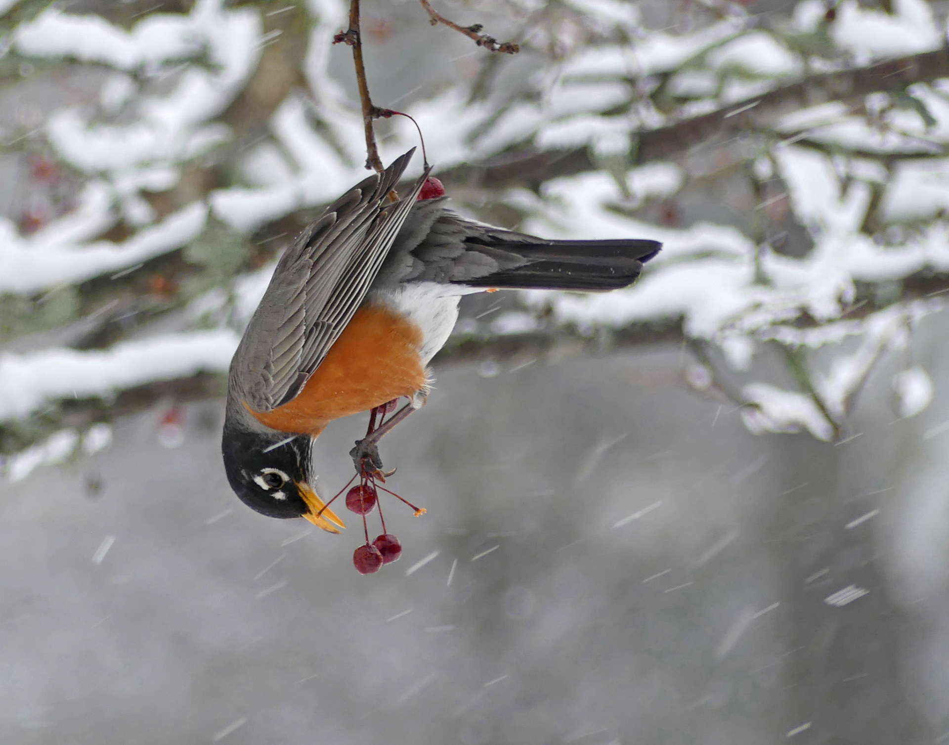 Moments in Nature Collection of Favorites