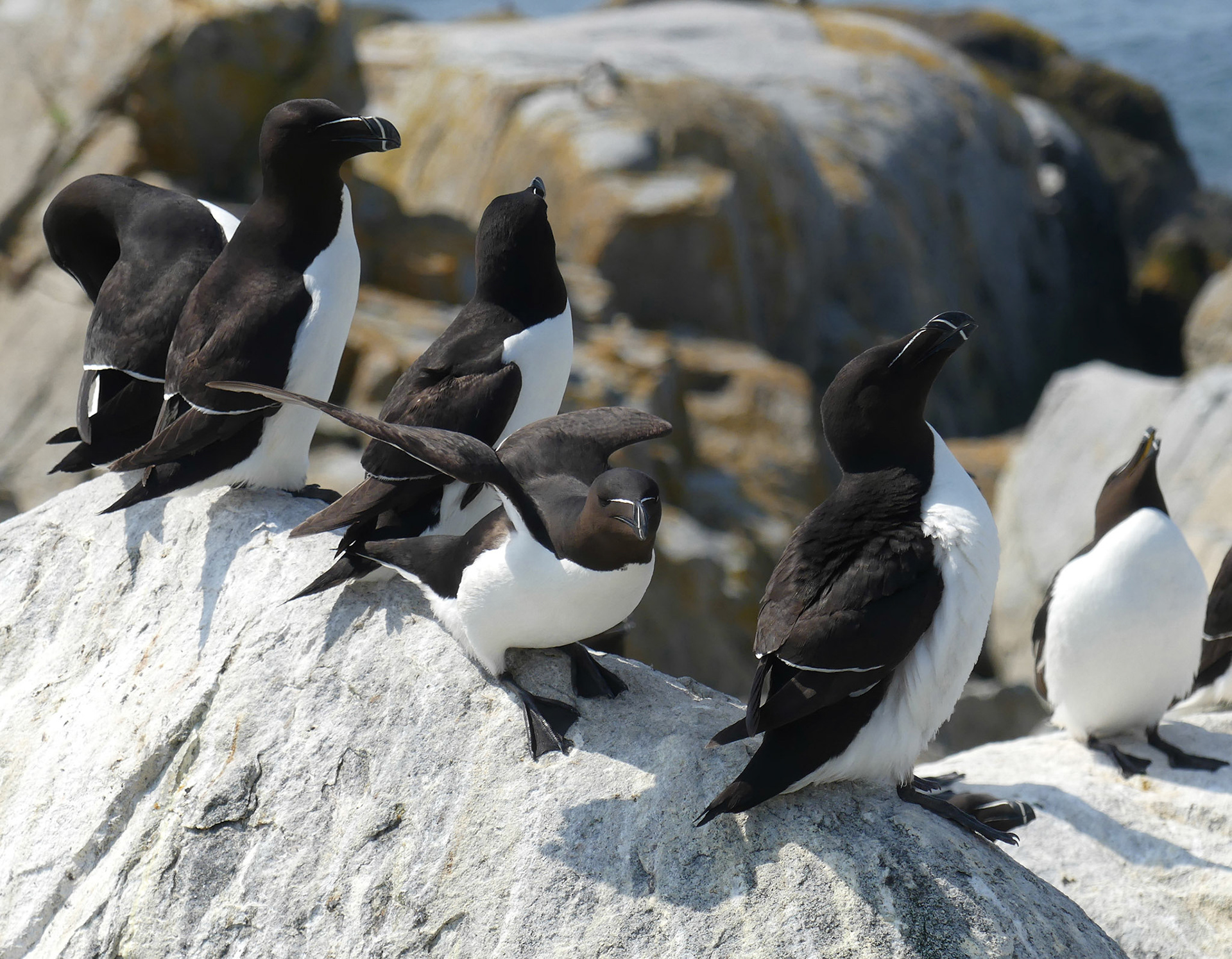 Moments in Nature Collection of Favorites