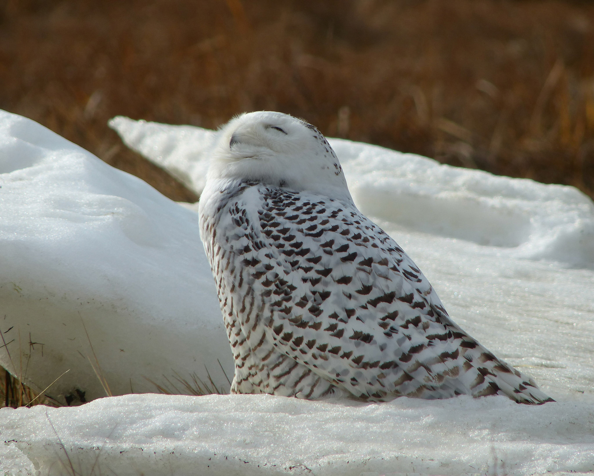 Moments in Nature Collection of Favorites