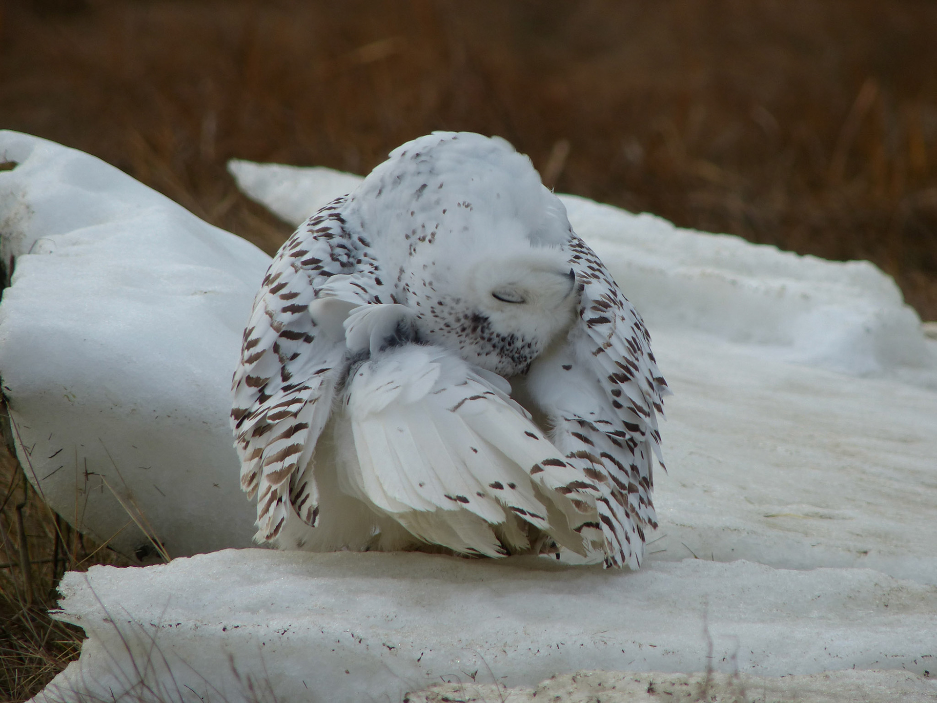 Moments in Nature Collection of Favorites