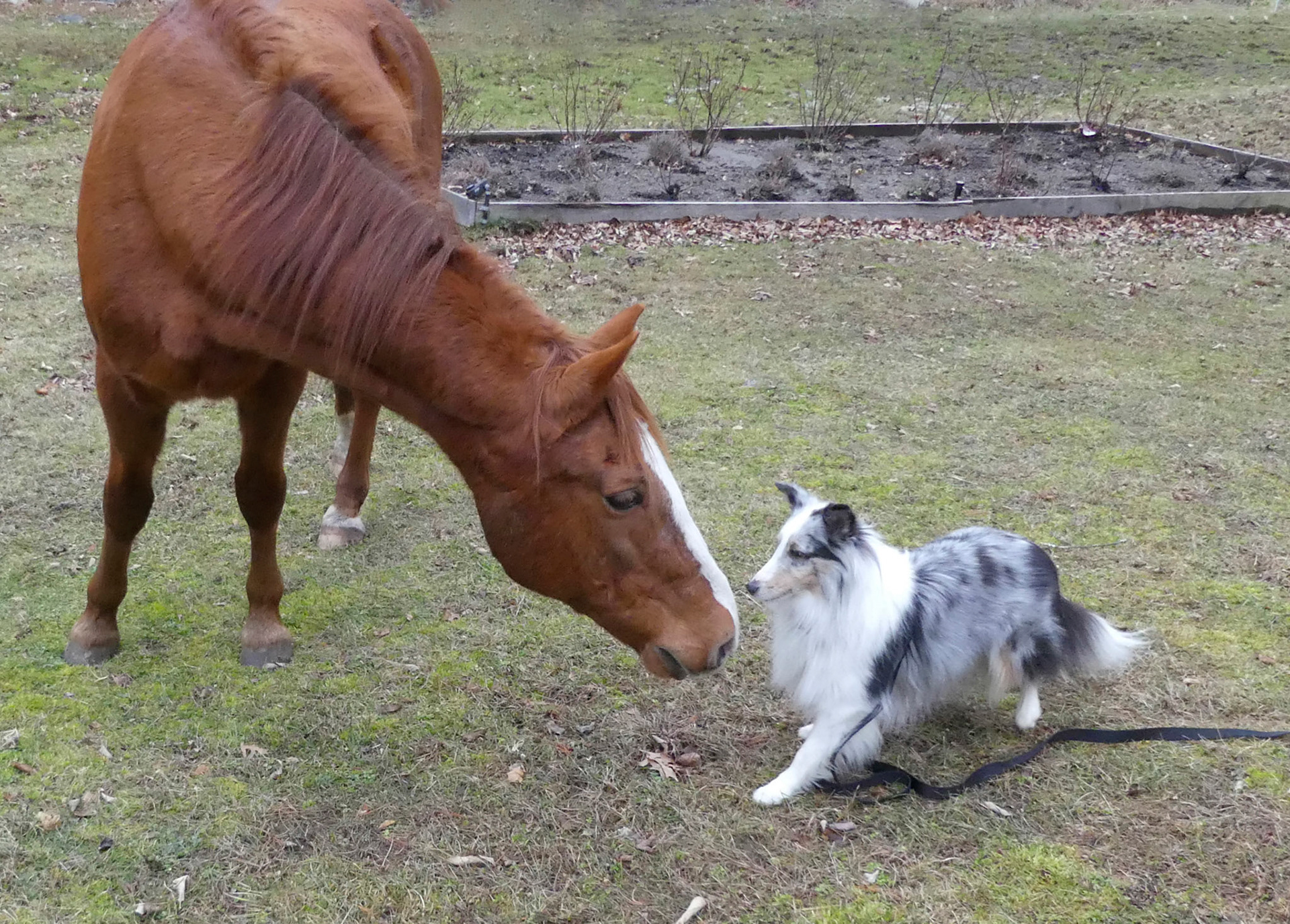 12December RorieandZanderFriends